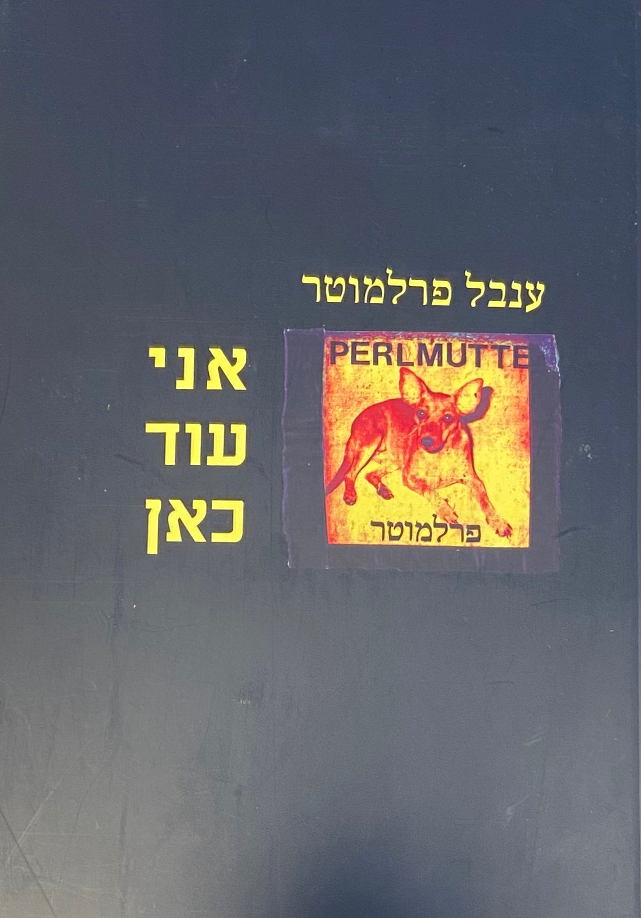 אני עוד כאן