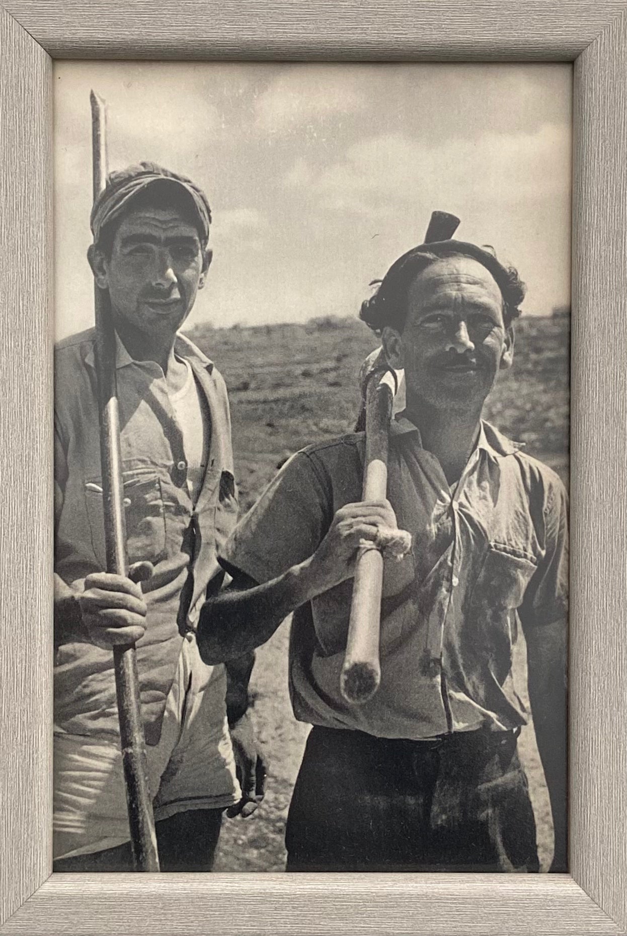 בשדה: מתוך זאת ישראל צלם בוריס קוואדלו