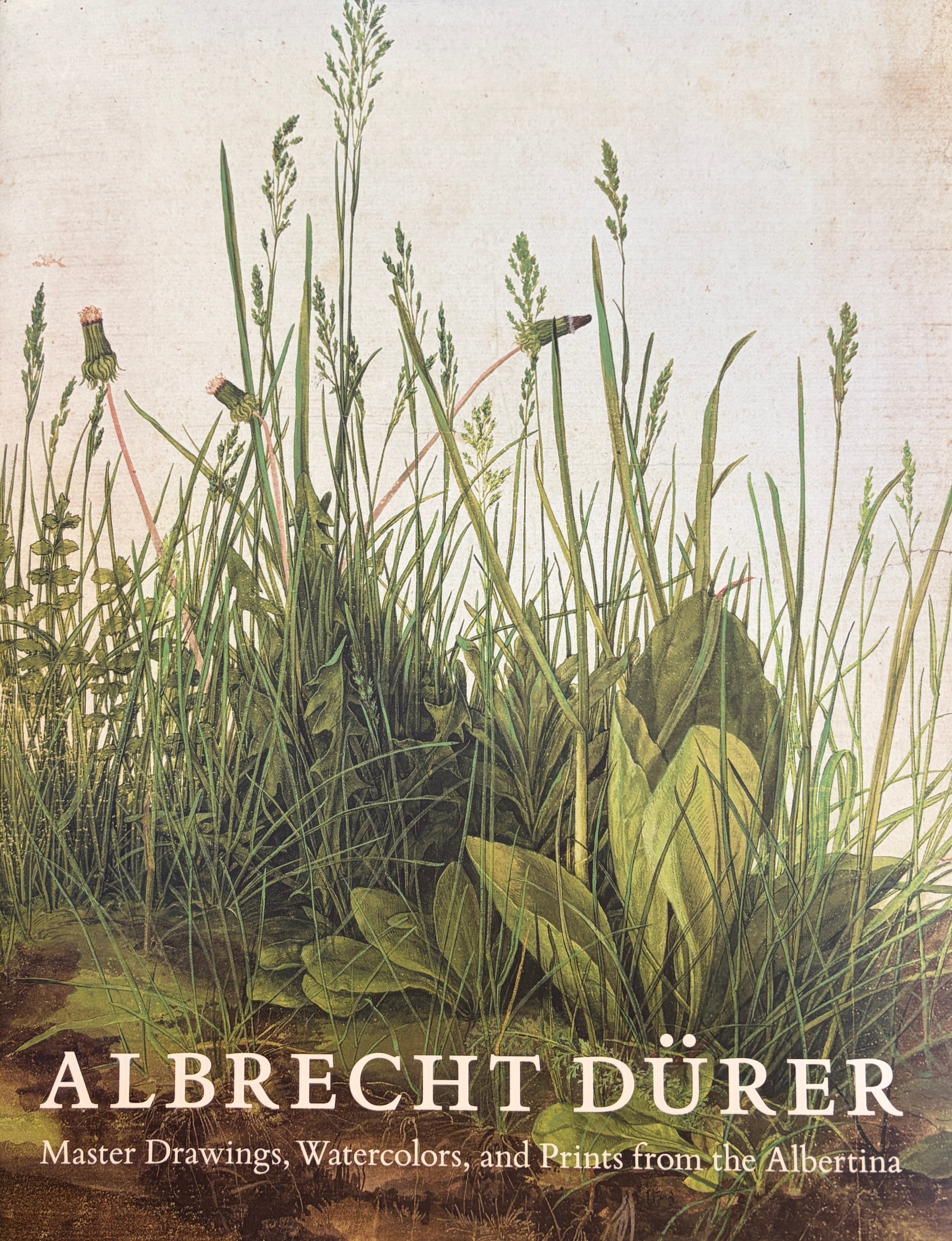 Albrecht Dürer / Master Drawings, Watercolors, and Prints from the Albertina