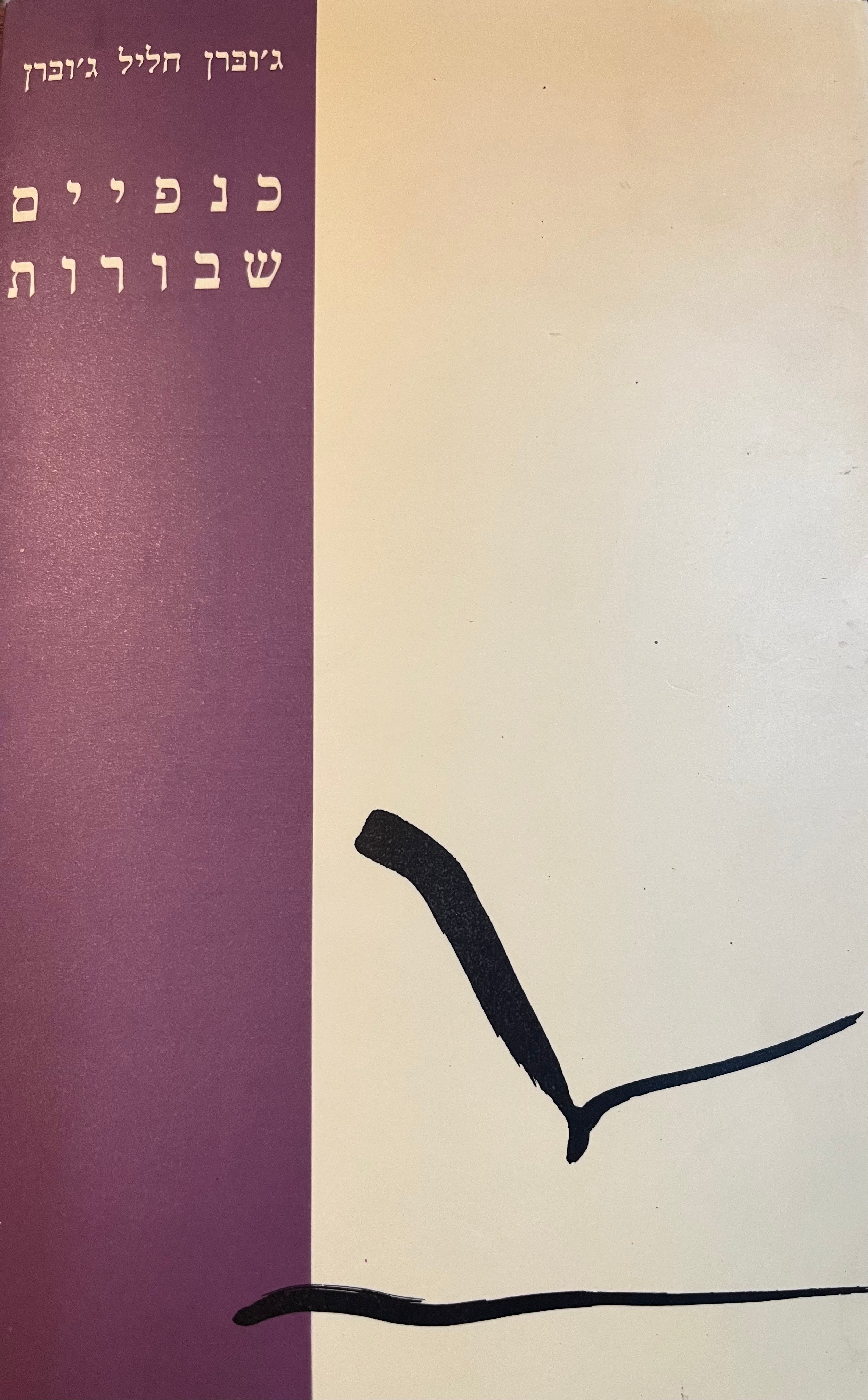כנפיים שבורות