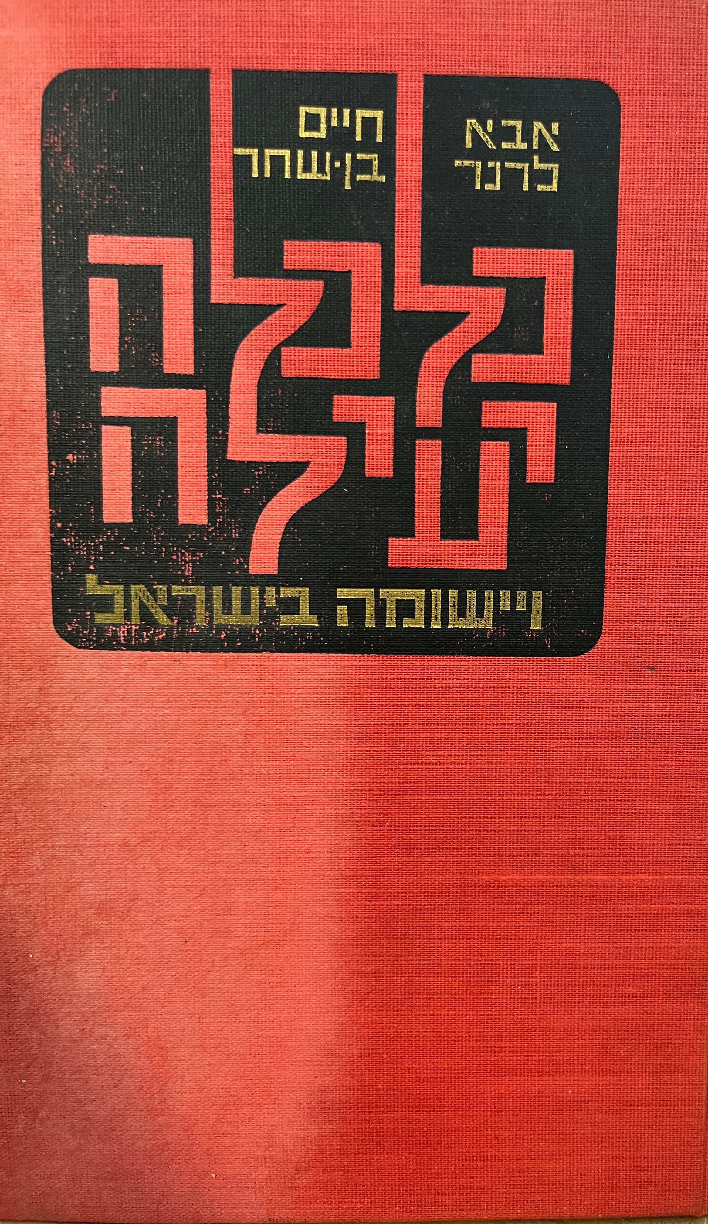 כלכלה יעילה / ויישומה בישראל