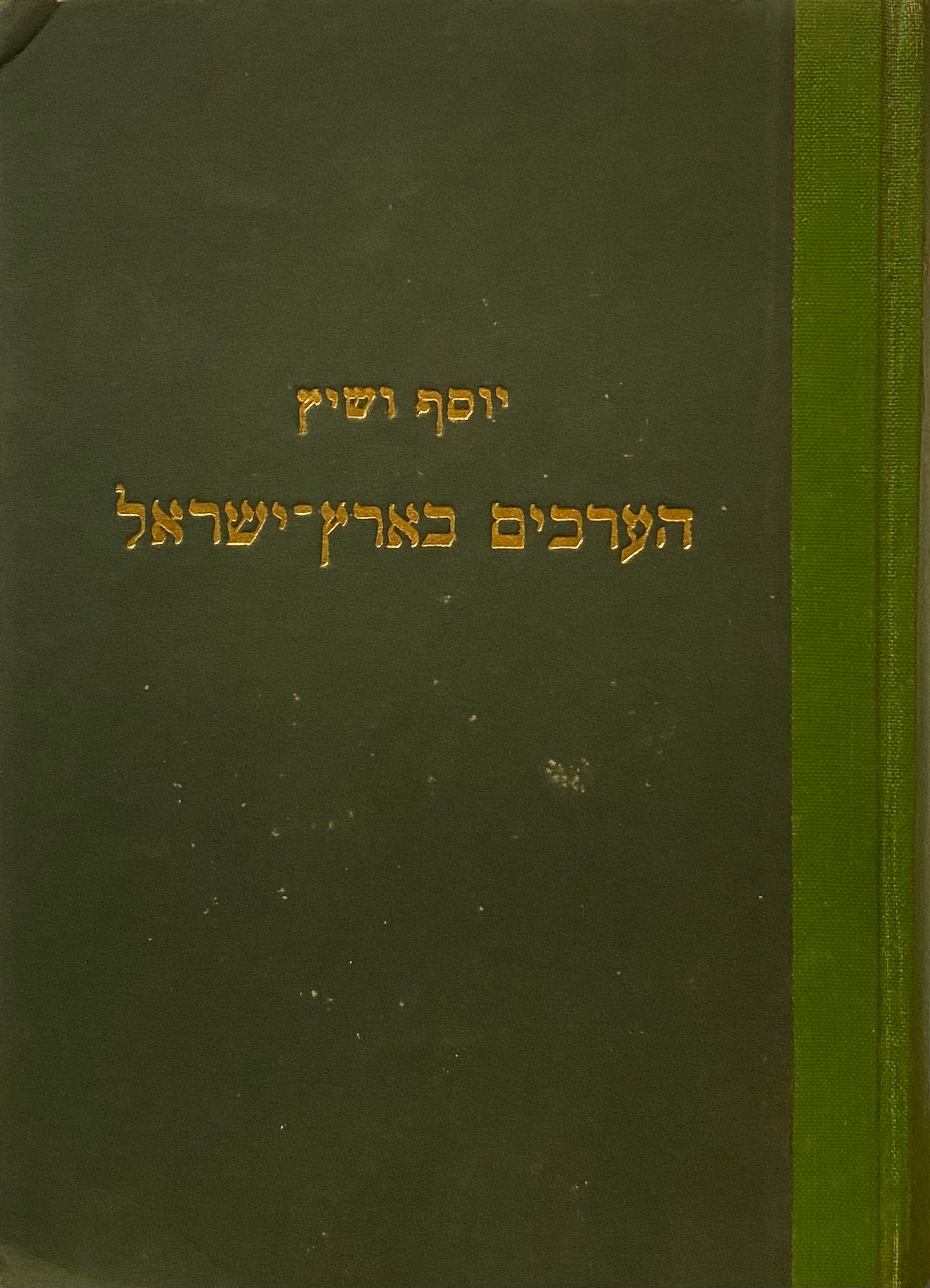 תולדות היהודים בפולין (עד המאה ה-19) : כלכלה, חברה, המצב המשפטי / תרגום אביגדור המאירי