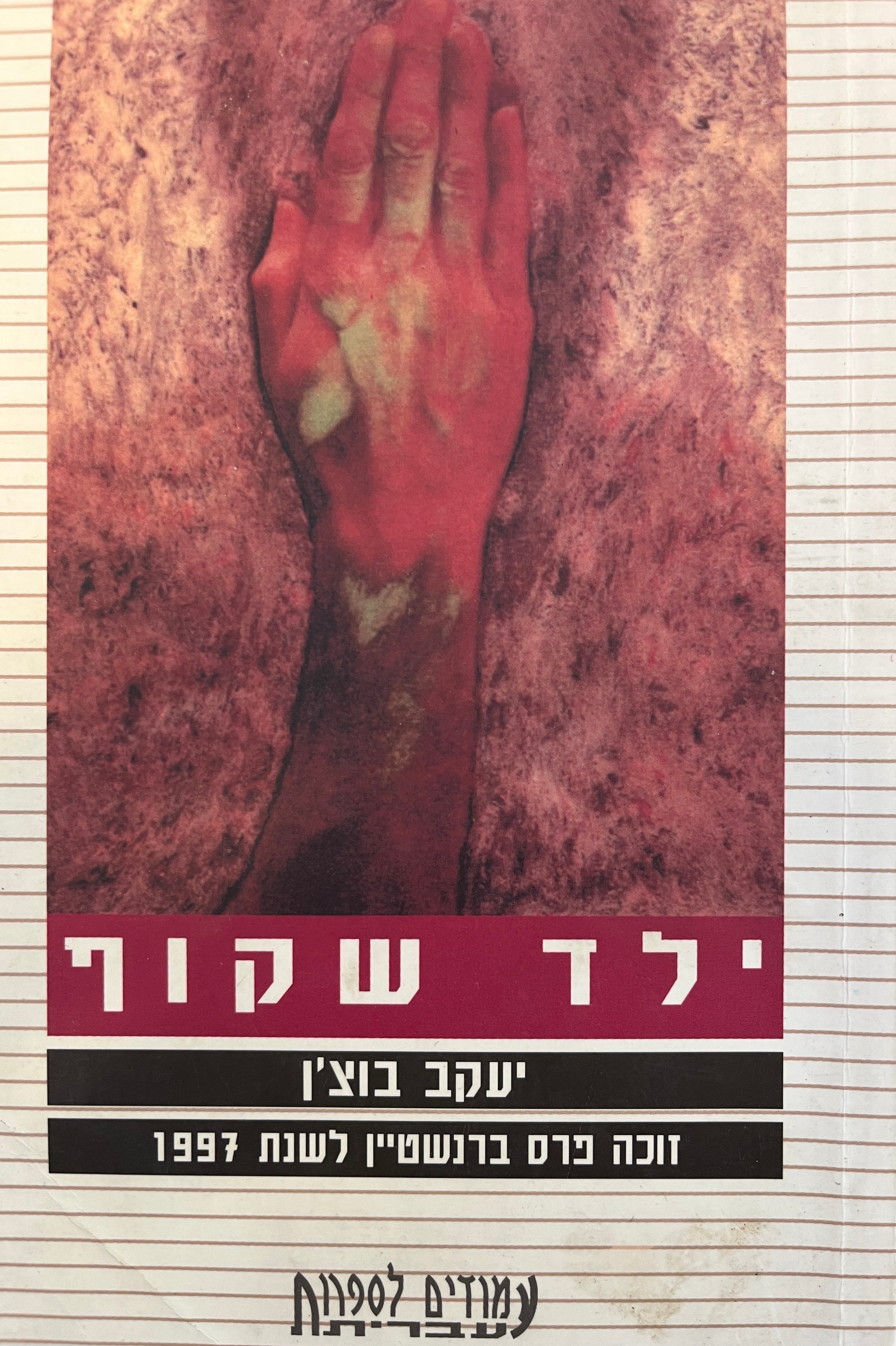 ילד שקוף / רומן