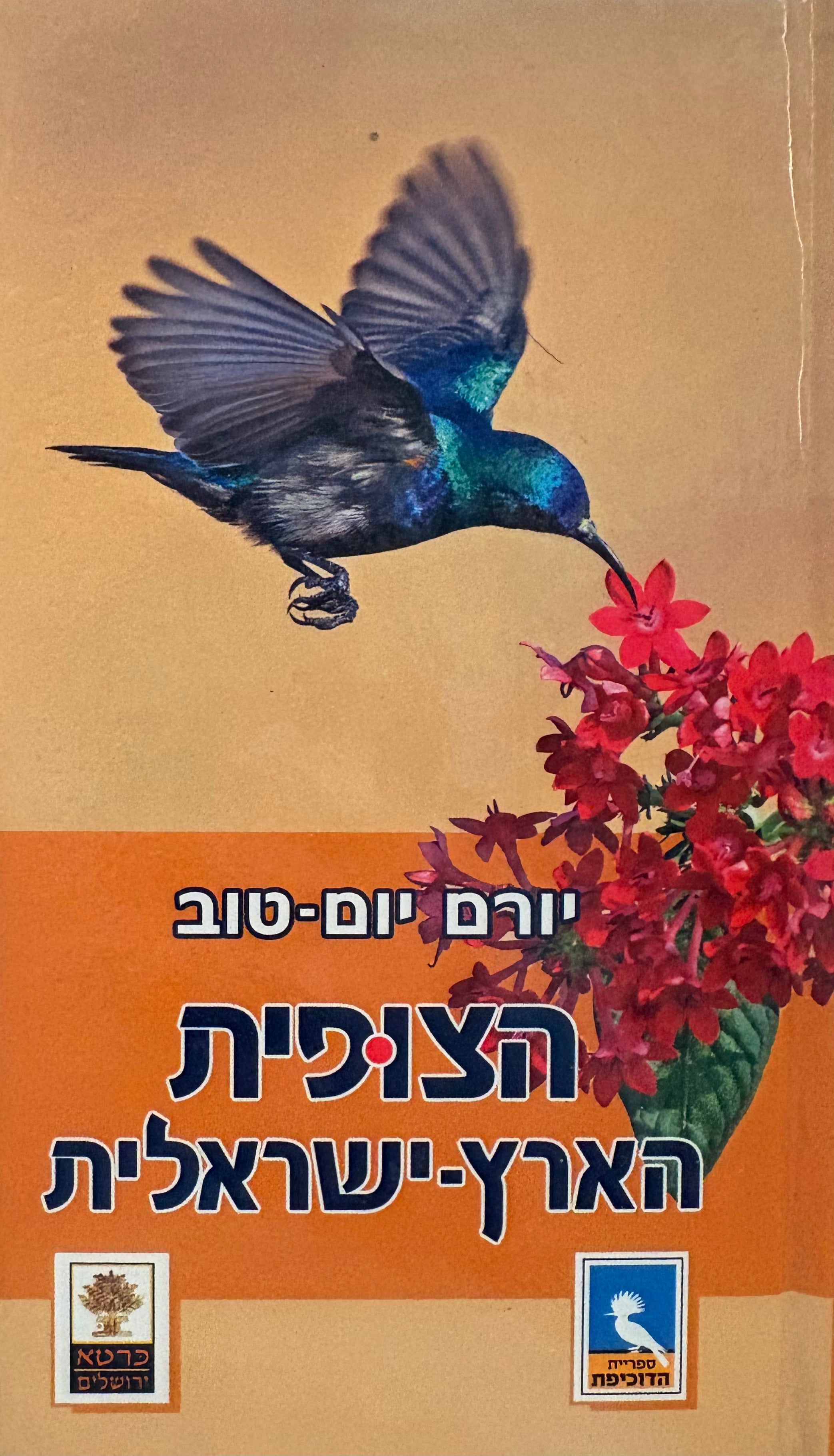הצופית הארץ ישראלית