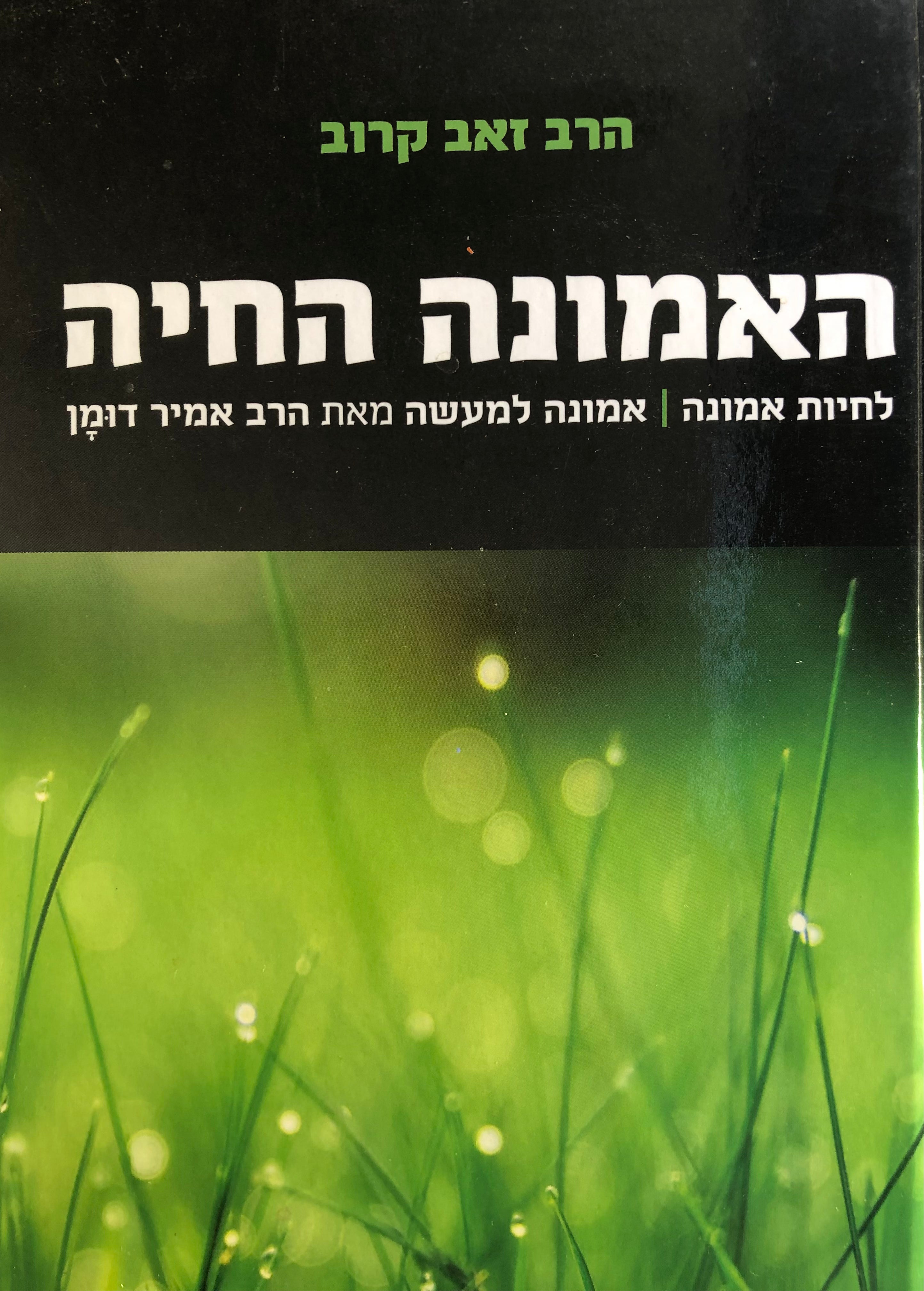האמונה החיה: לחיות אמונה / נספח: אמונה למעשה