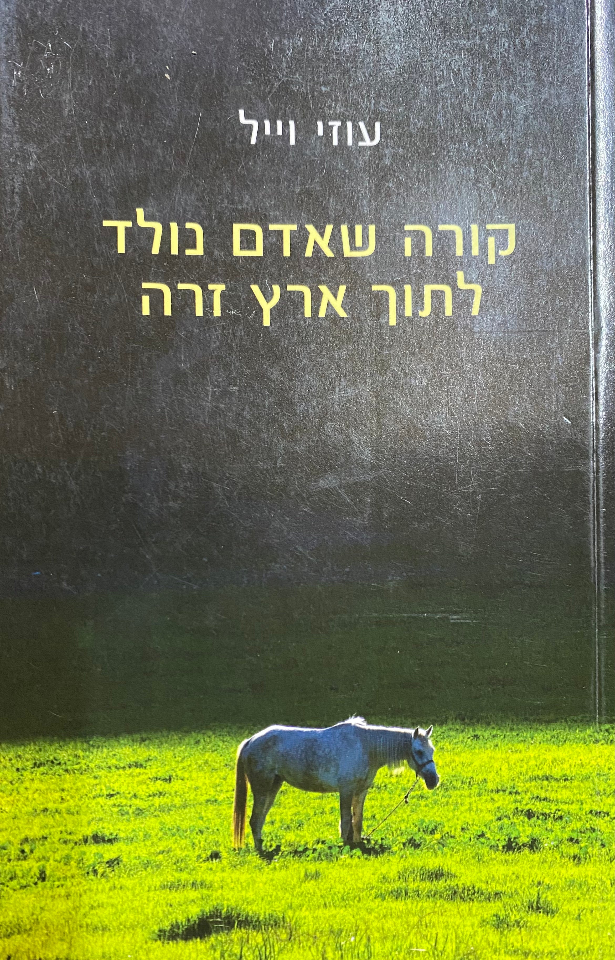קורה שאדם נולד לתוך ארץ זרה/ רשימות