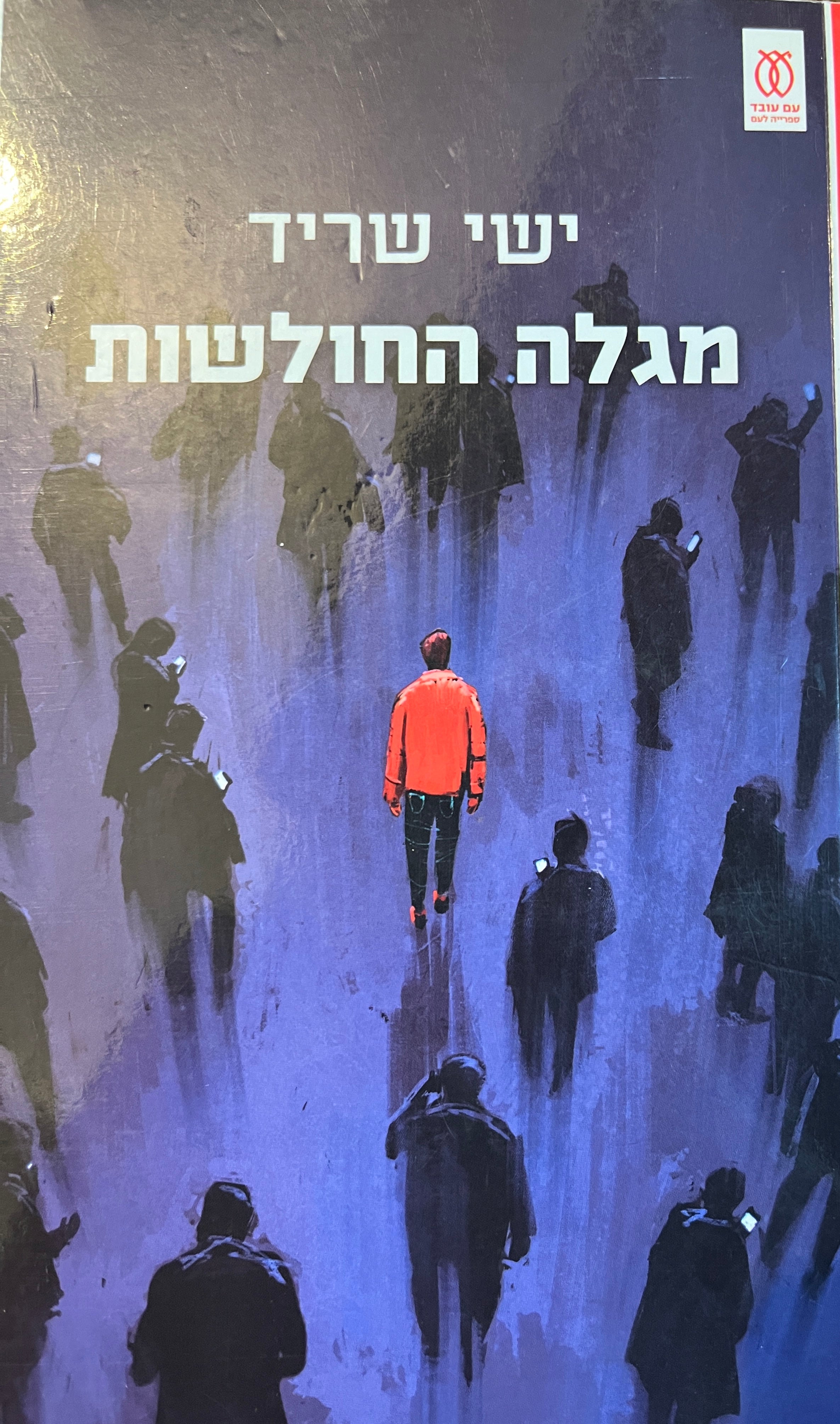 מגלה החולשות