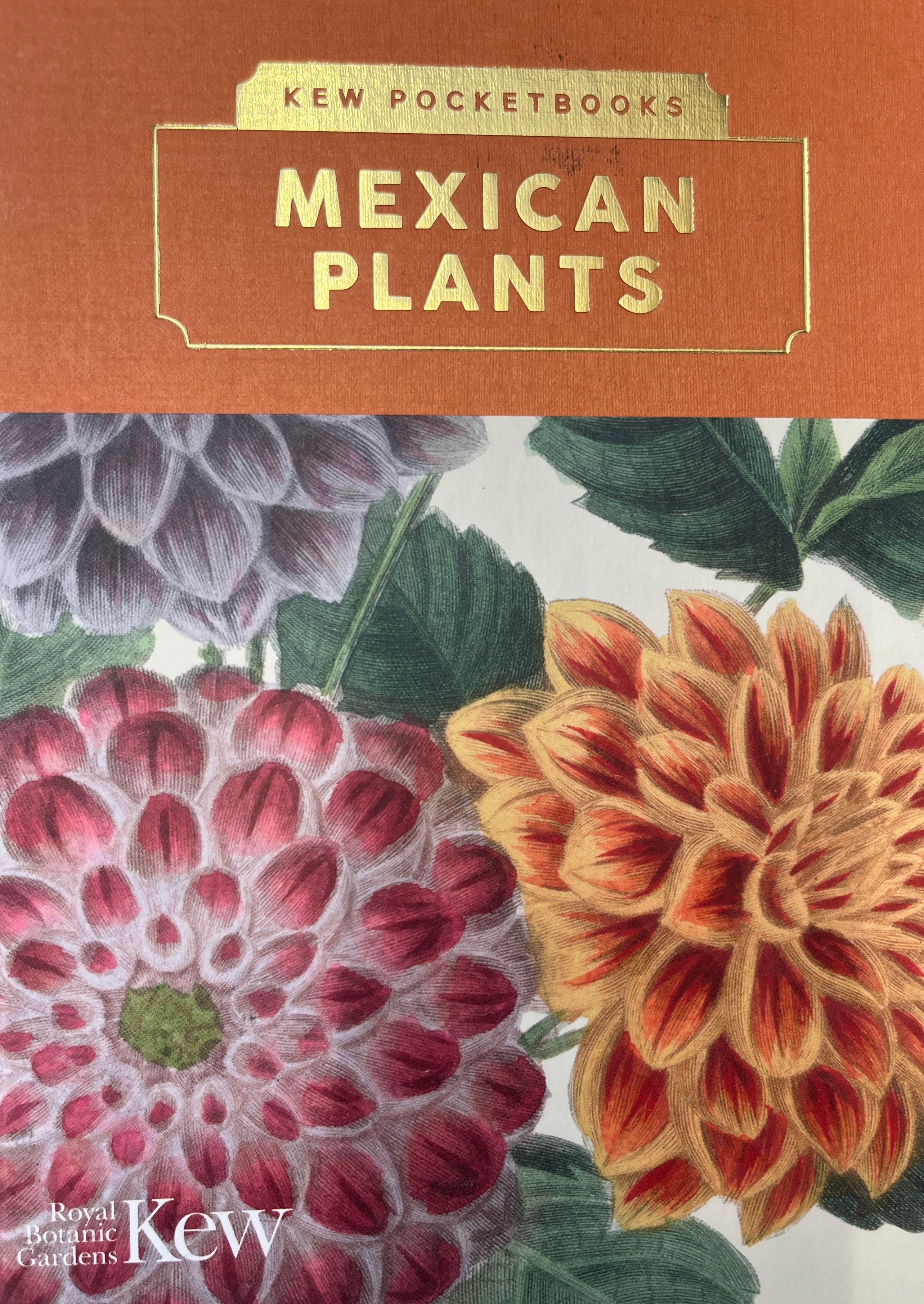 KEW POCKETBOOKS / MEXICAN PLANTS