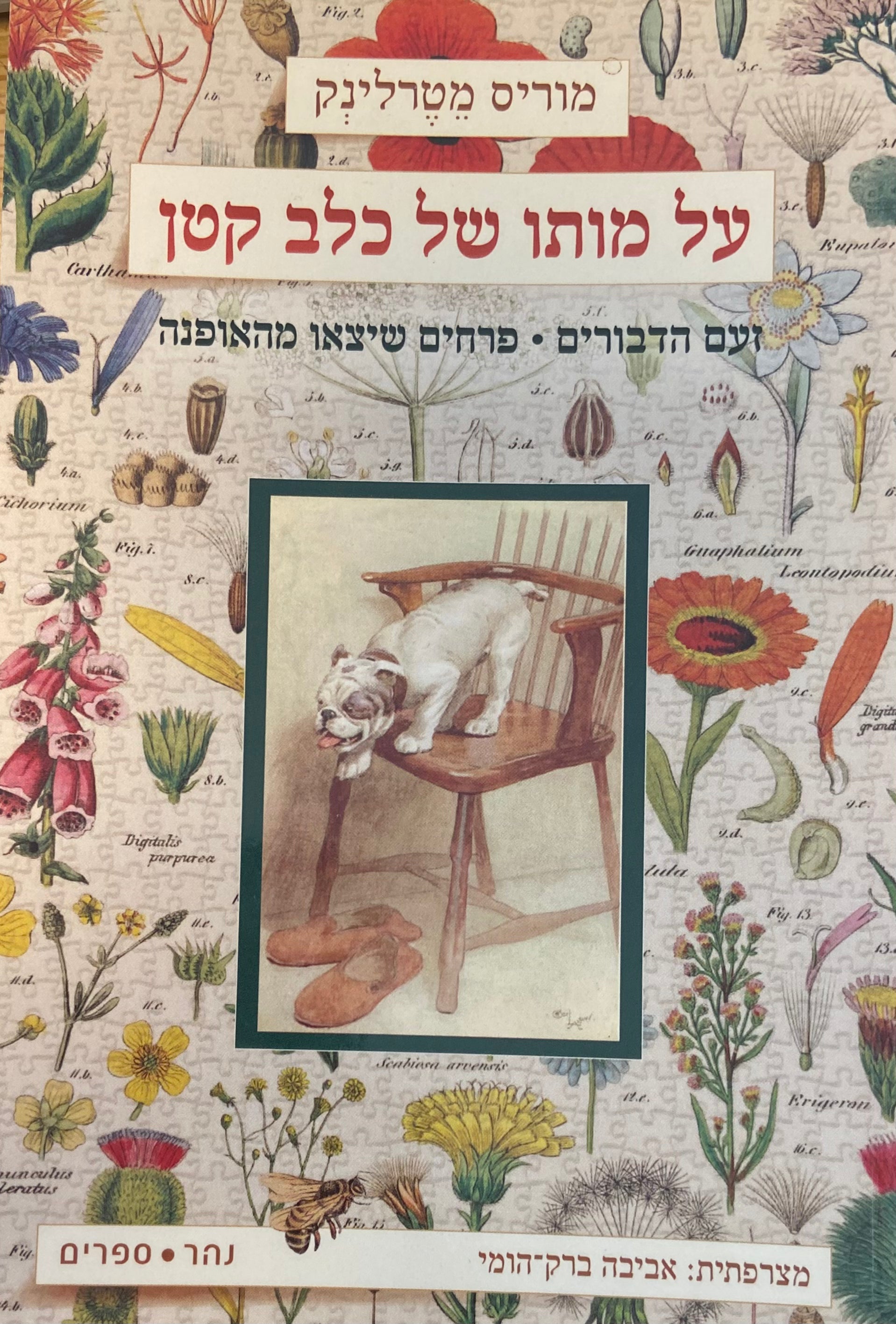 על מותו של כלב קטן