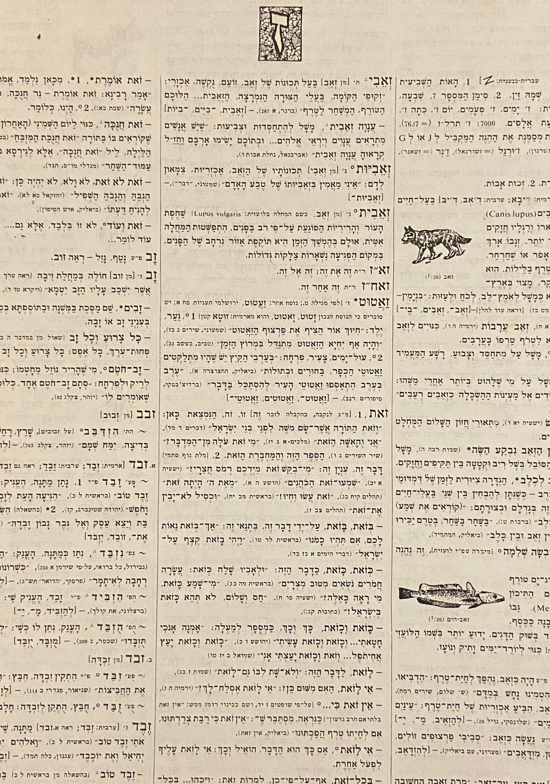 מחברת בעבודת יד: דפים חלקים / המחברות של מעיין: 8#