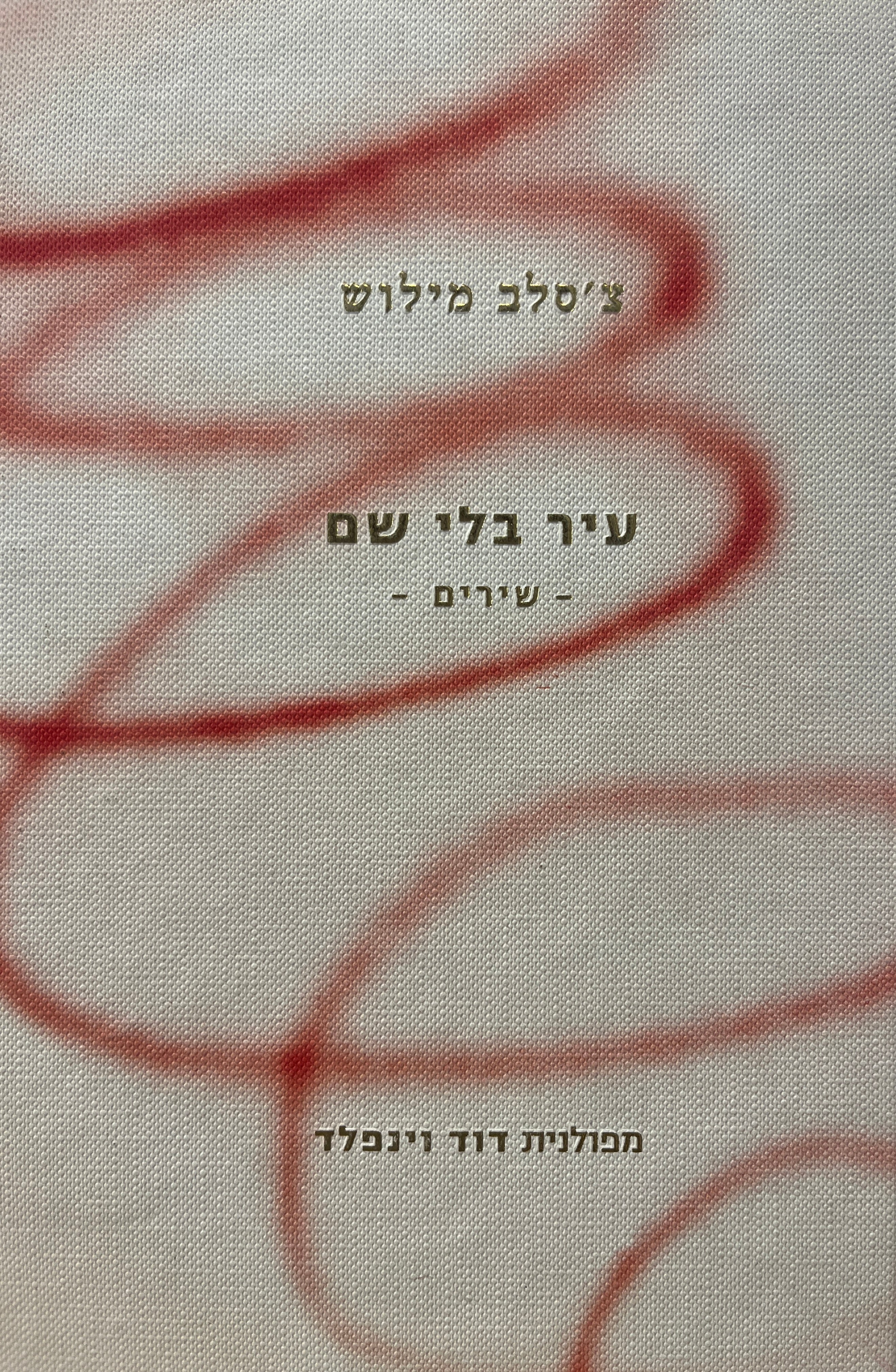 עיר בלי שם / שירים