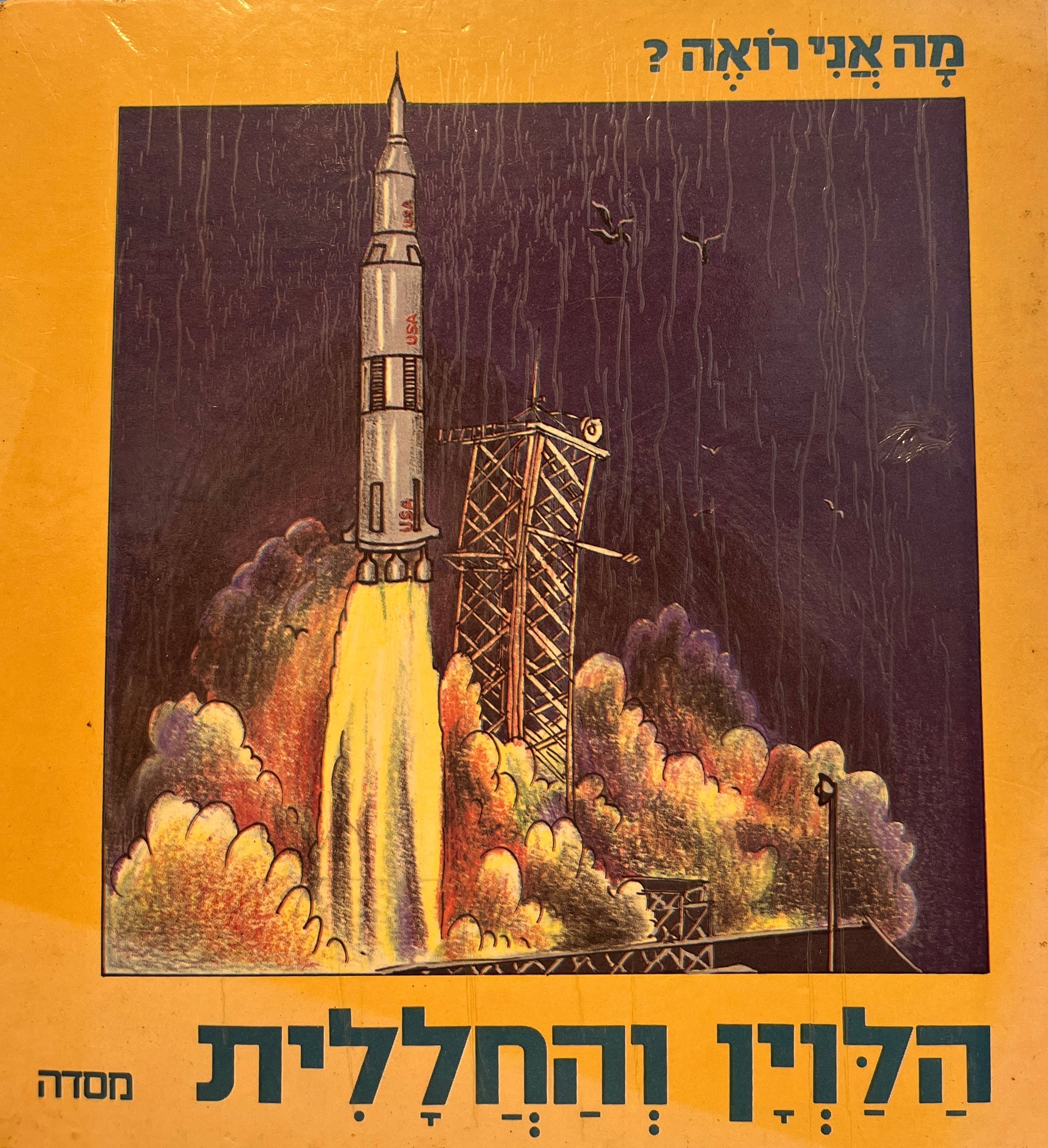 מה אני רואה? / הלוין והחללית