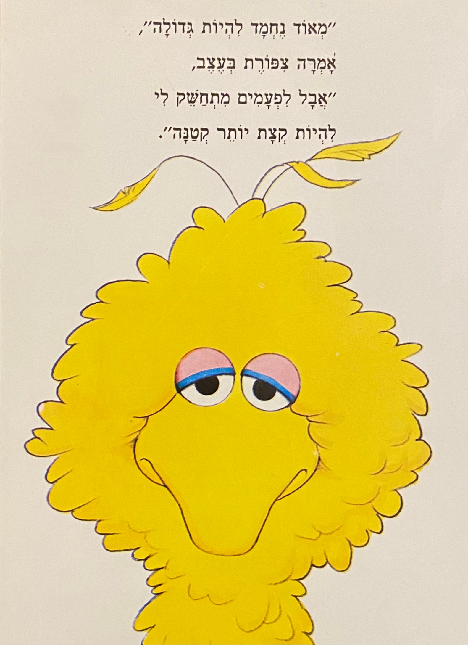מחברת בעבודת יד: דפי נקודות / המחברות של מעיין: 1#