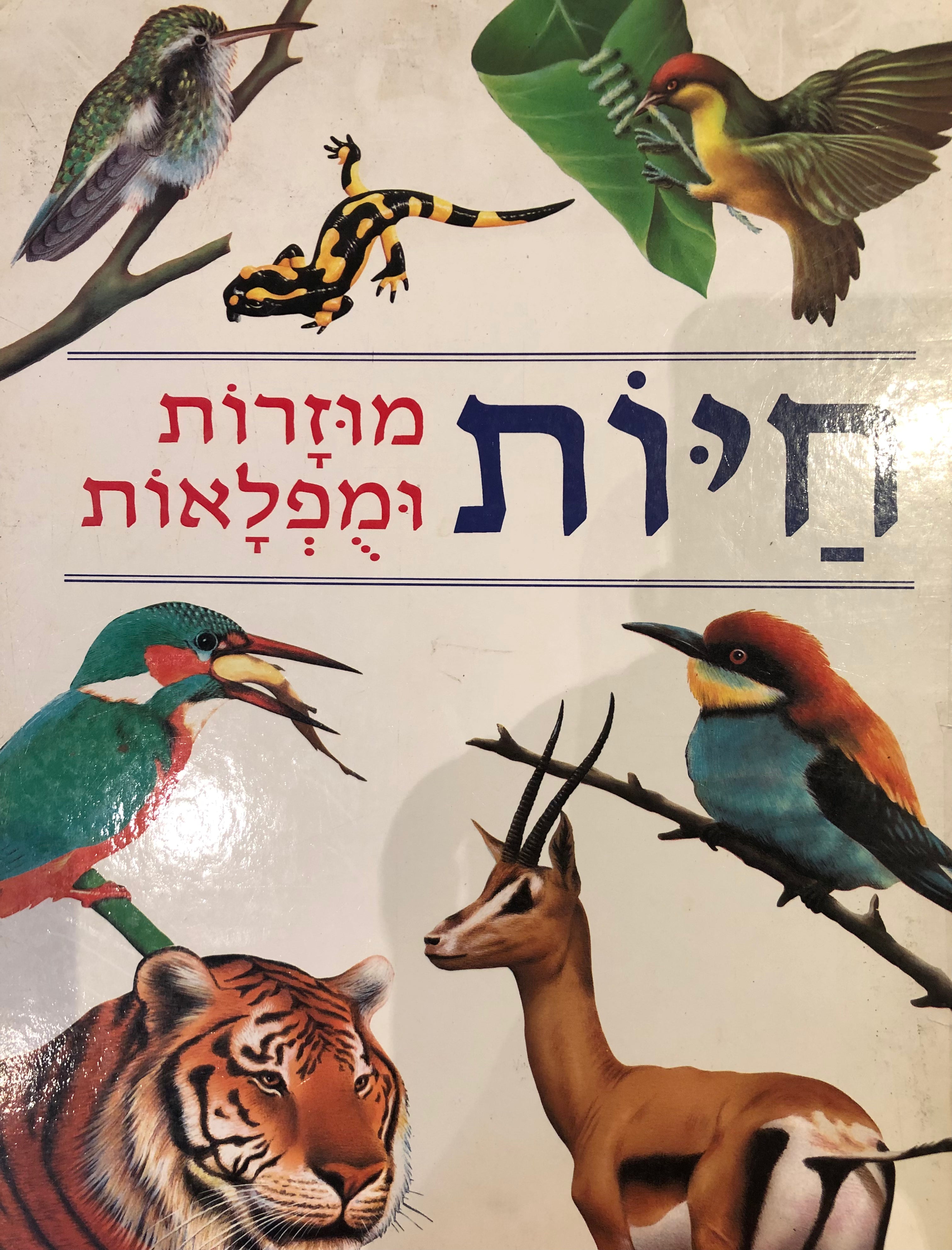 חיות מוזרות ומפלאות