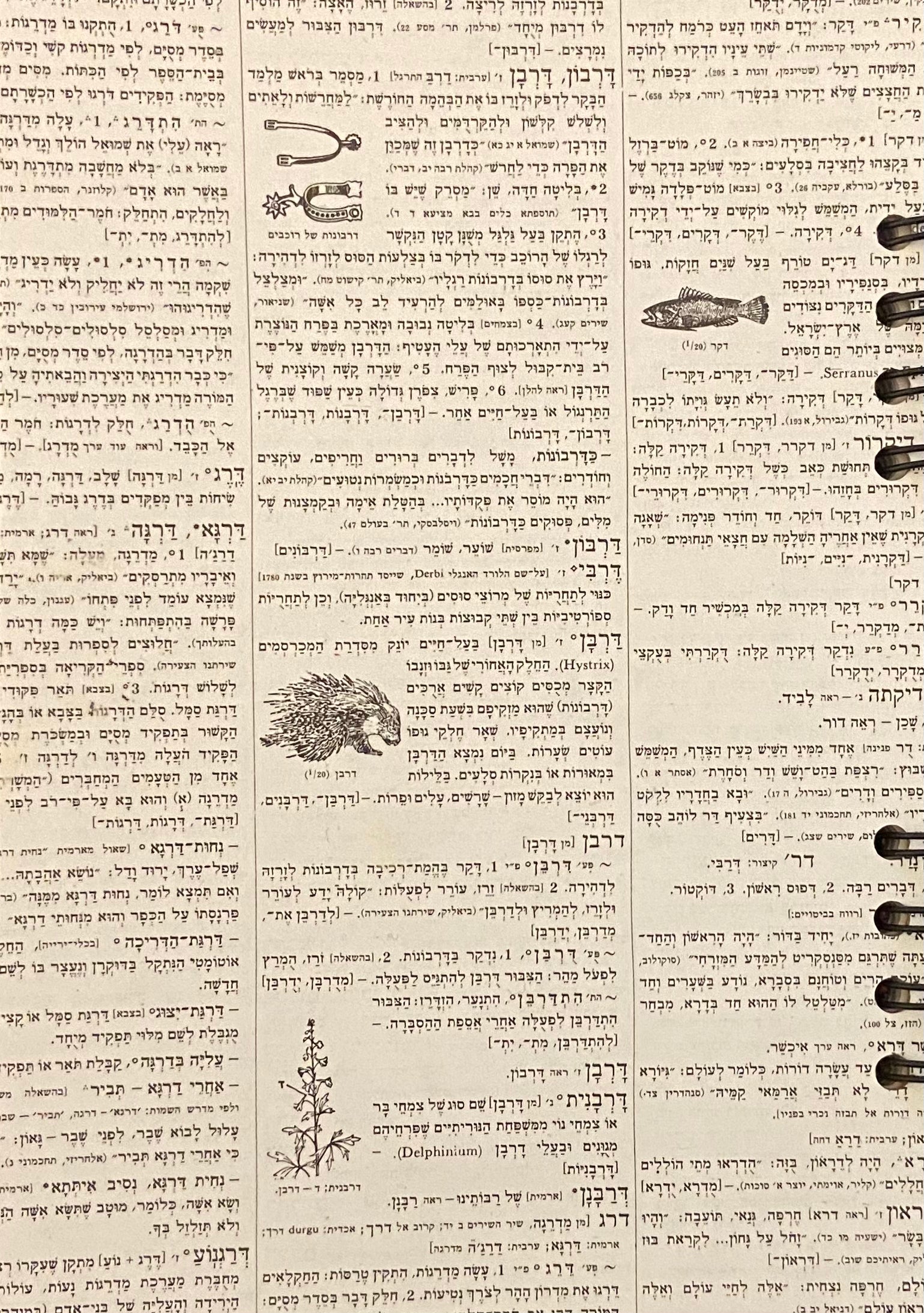 מחברת ספירלה בעבודת יד: דפי שורות / המחברות של מעיין: 4#