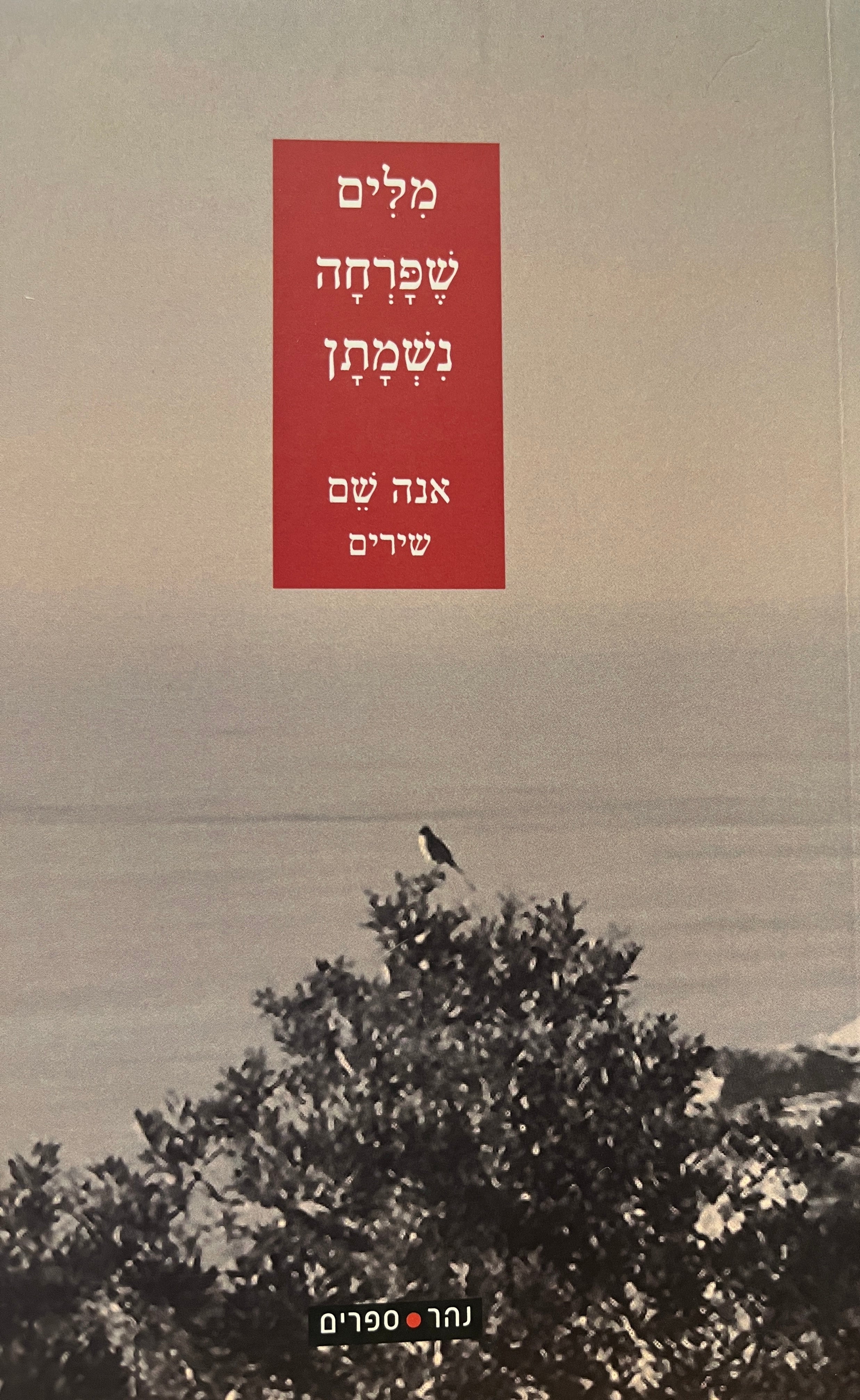 מלים שפרחה נשמתן / שירים