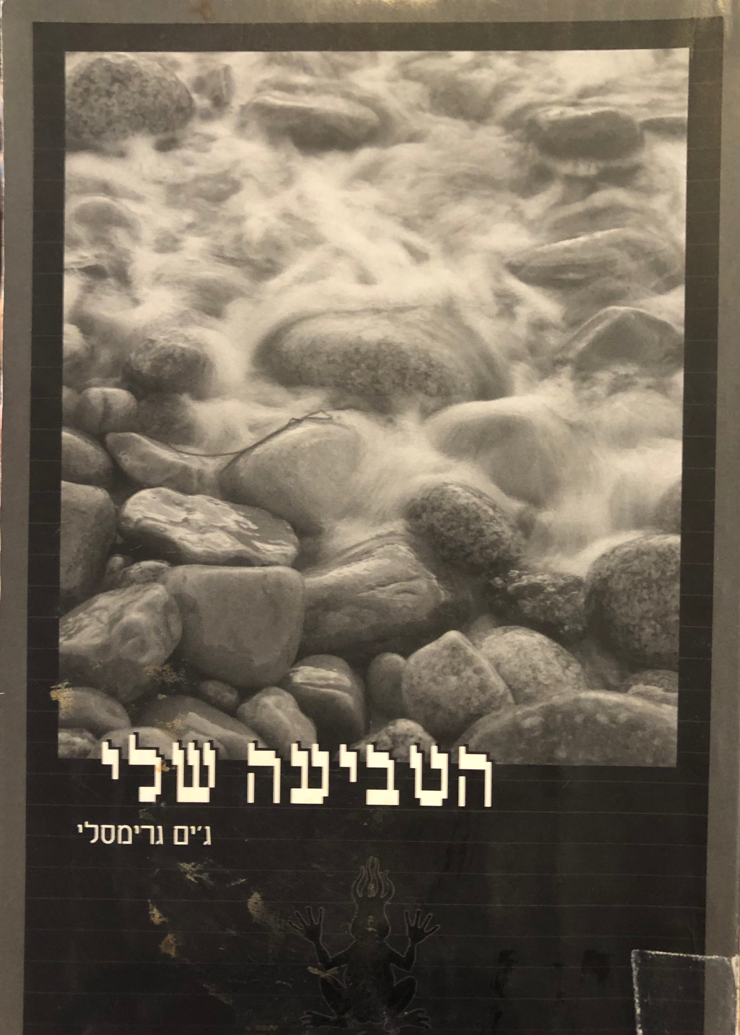הטביעה שלי / רומן