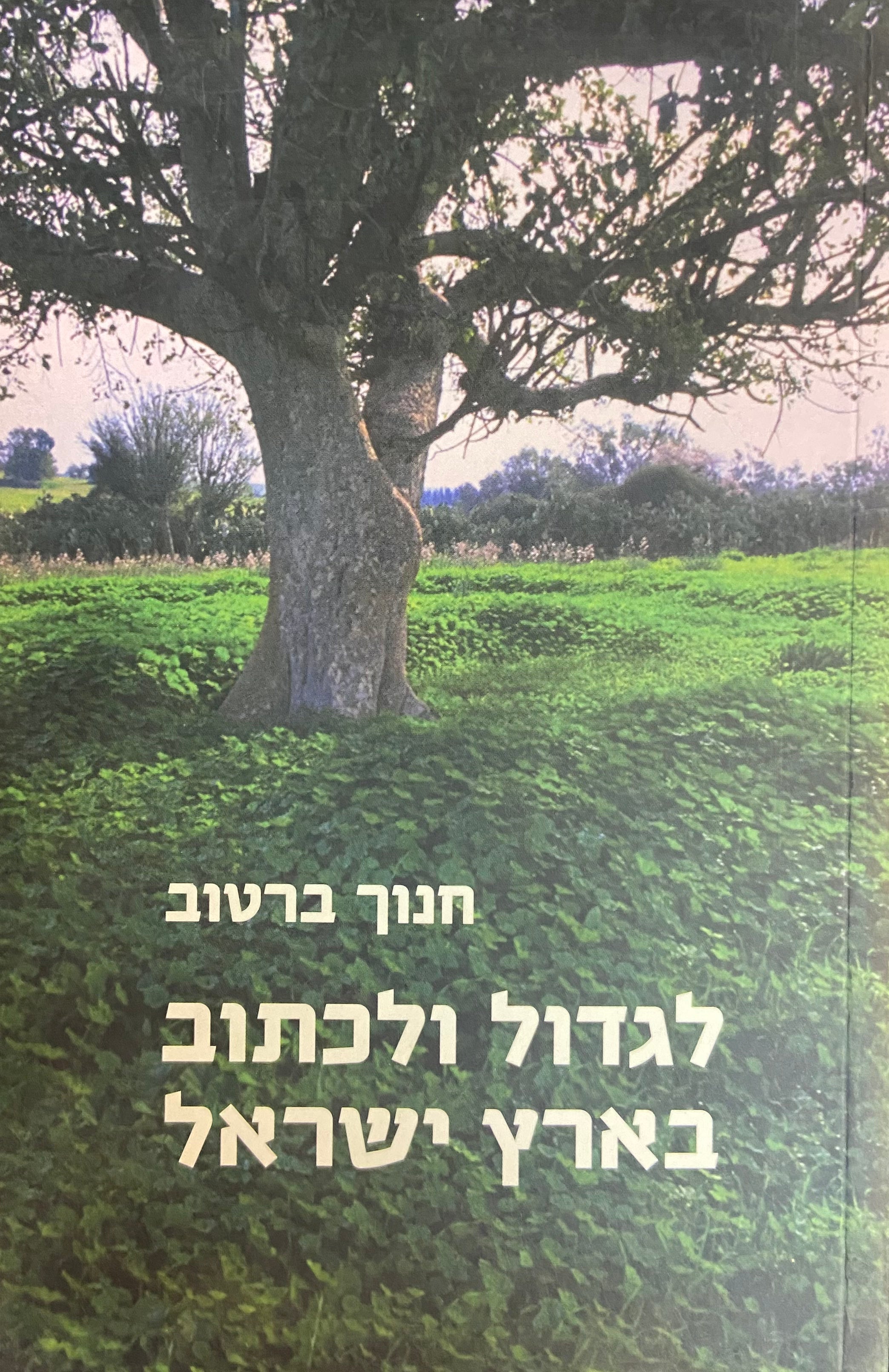 לגדול ולכתוב בארץ ישראל