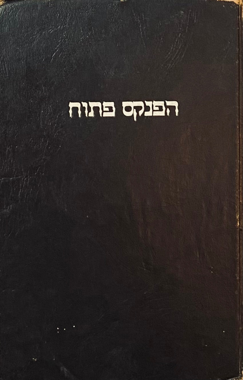 הפנקס פתוח: פרשה ראשונה / ציורים: צילה בינדר