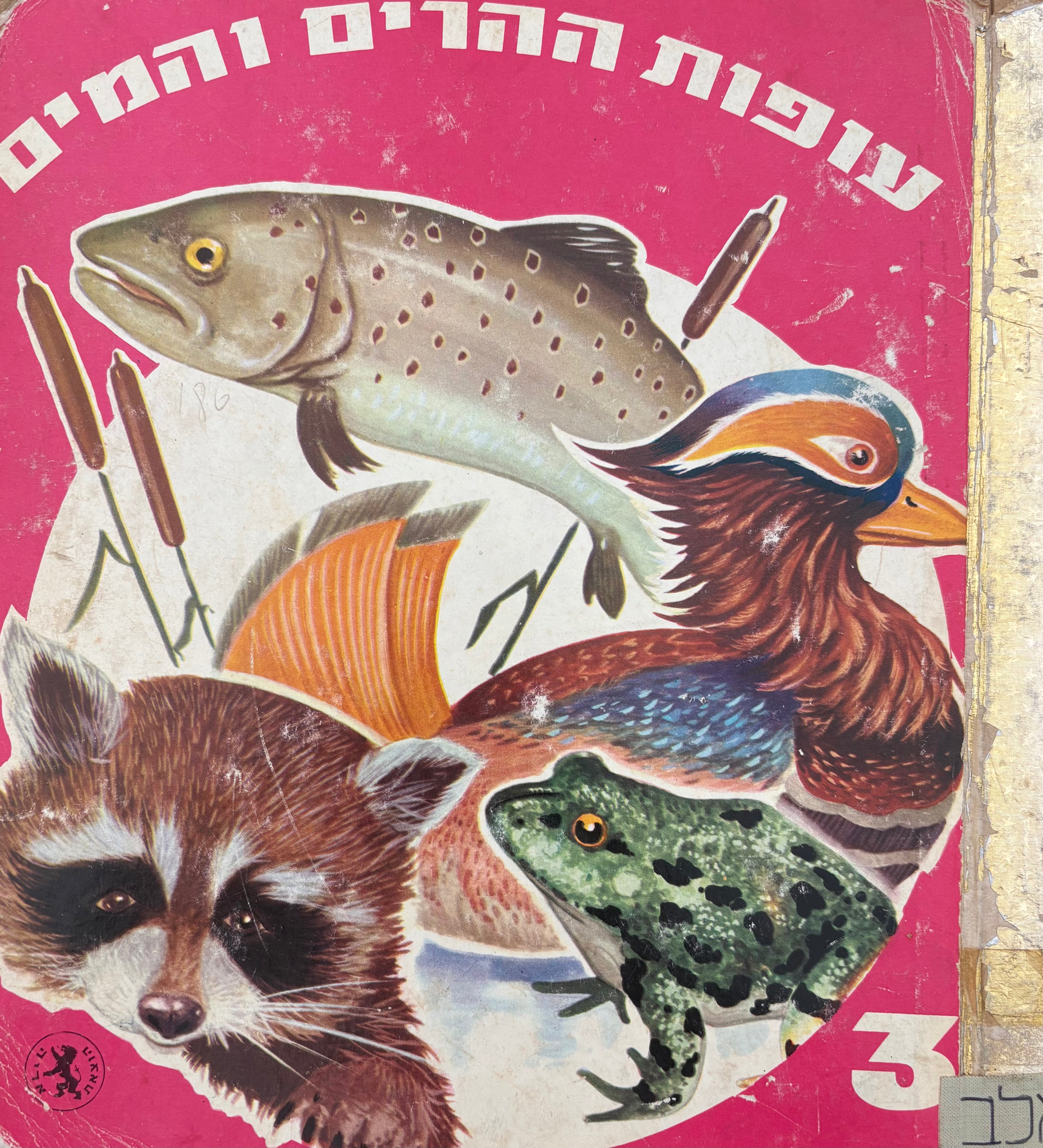 עופות ההרים והמים