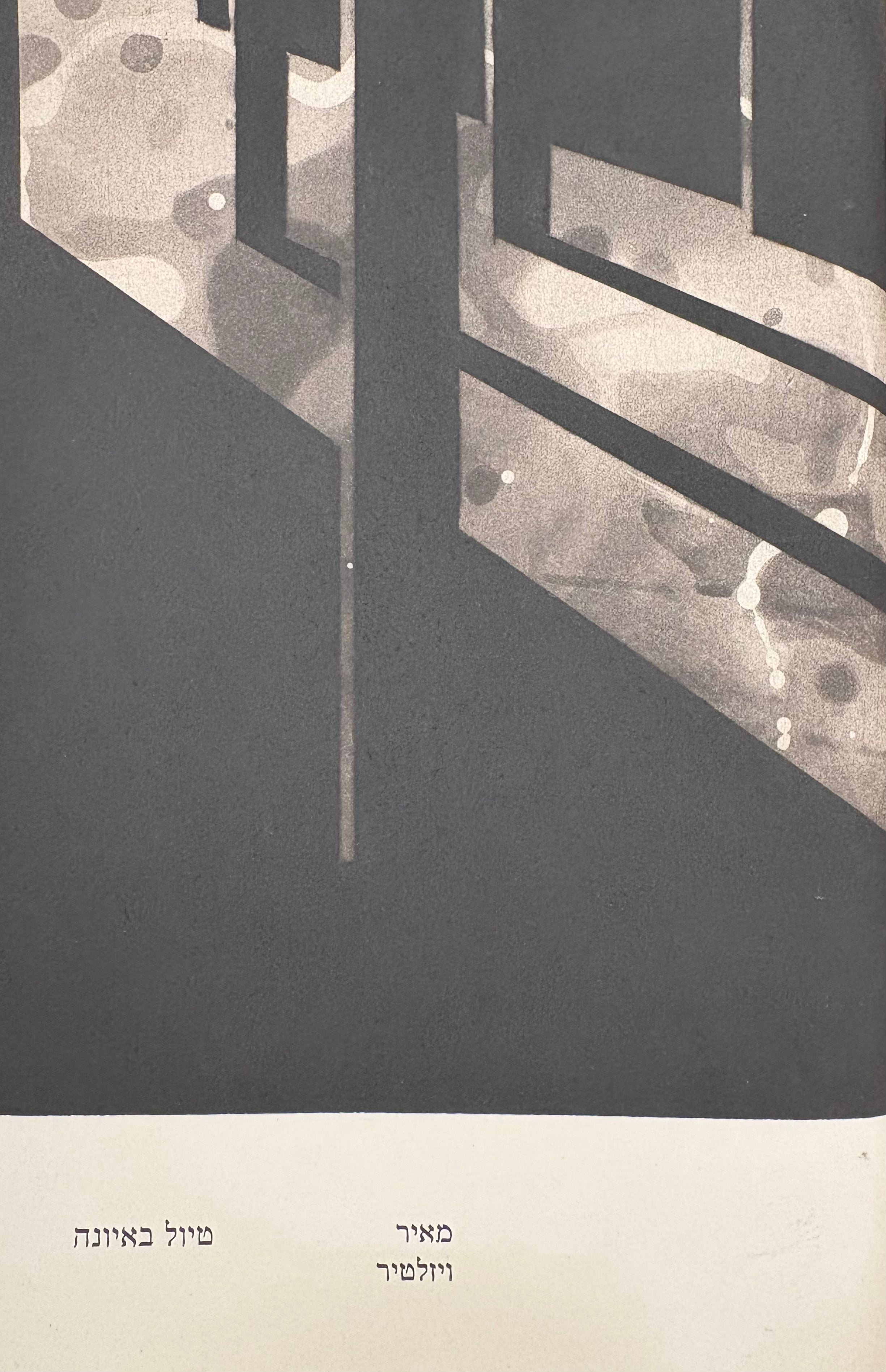 טיול באיונה / מהדורה ביבליופילית בת 77 עותקים בלבד בחתימת המשורר והאמן