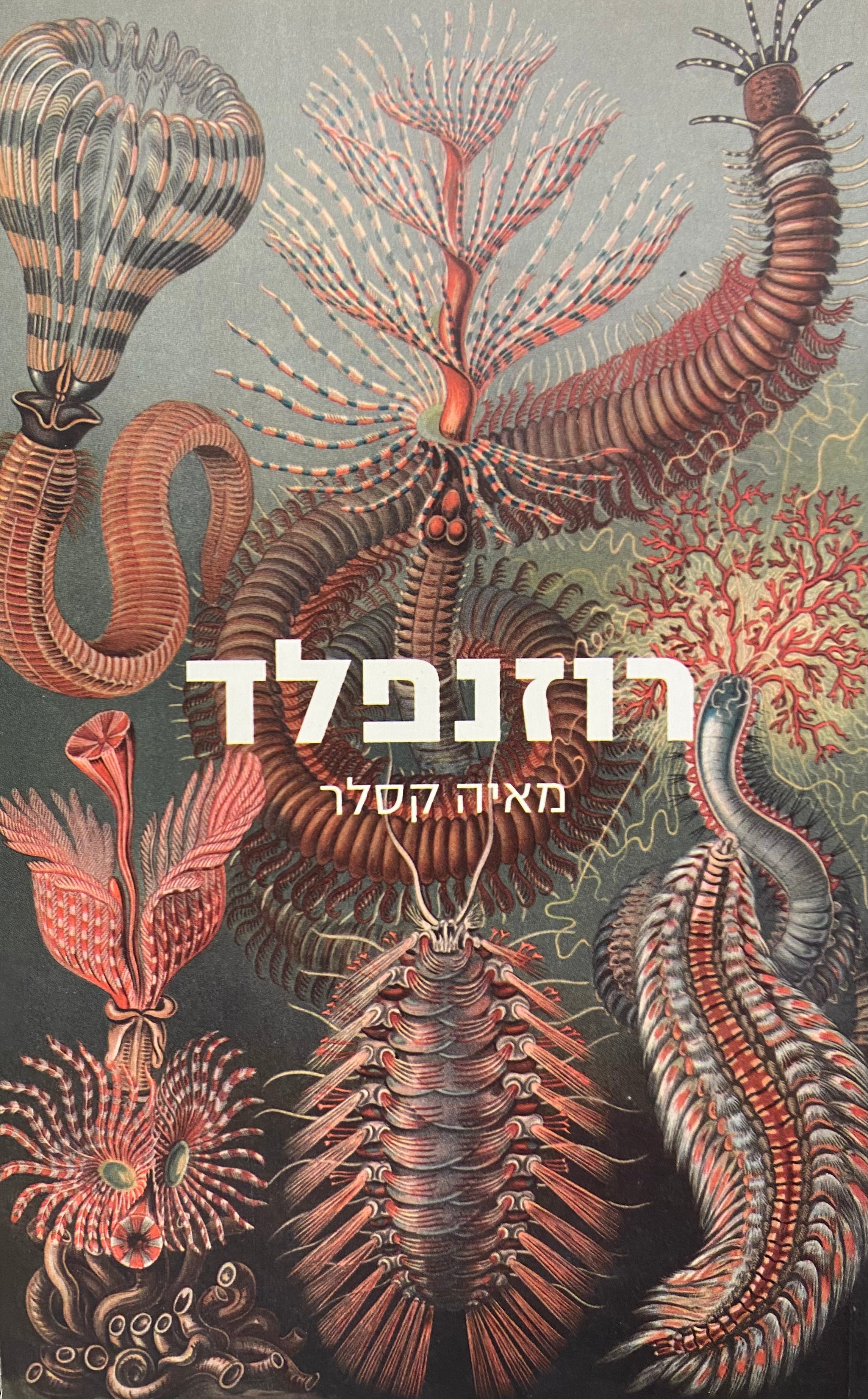 רוזנפלד