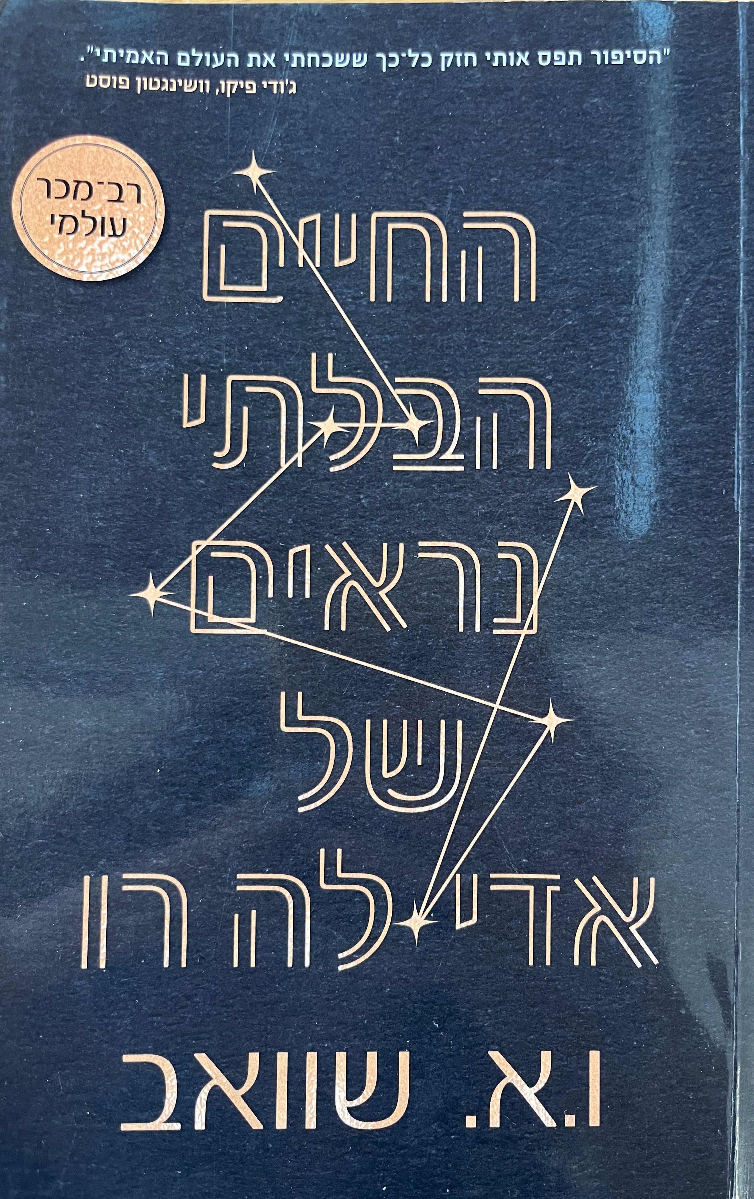 החיים הבלתי נראים של אדי לה רו