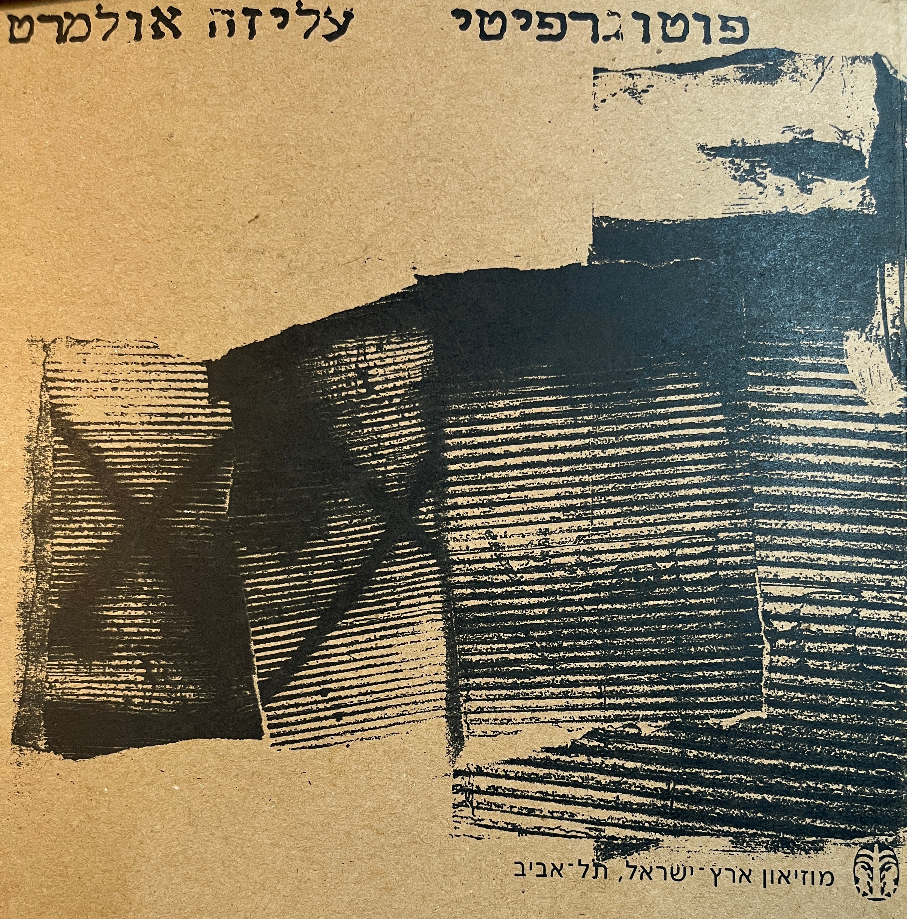 פוטוגרפיטי