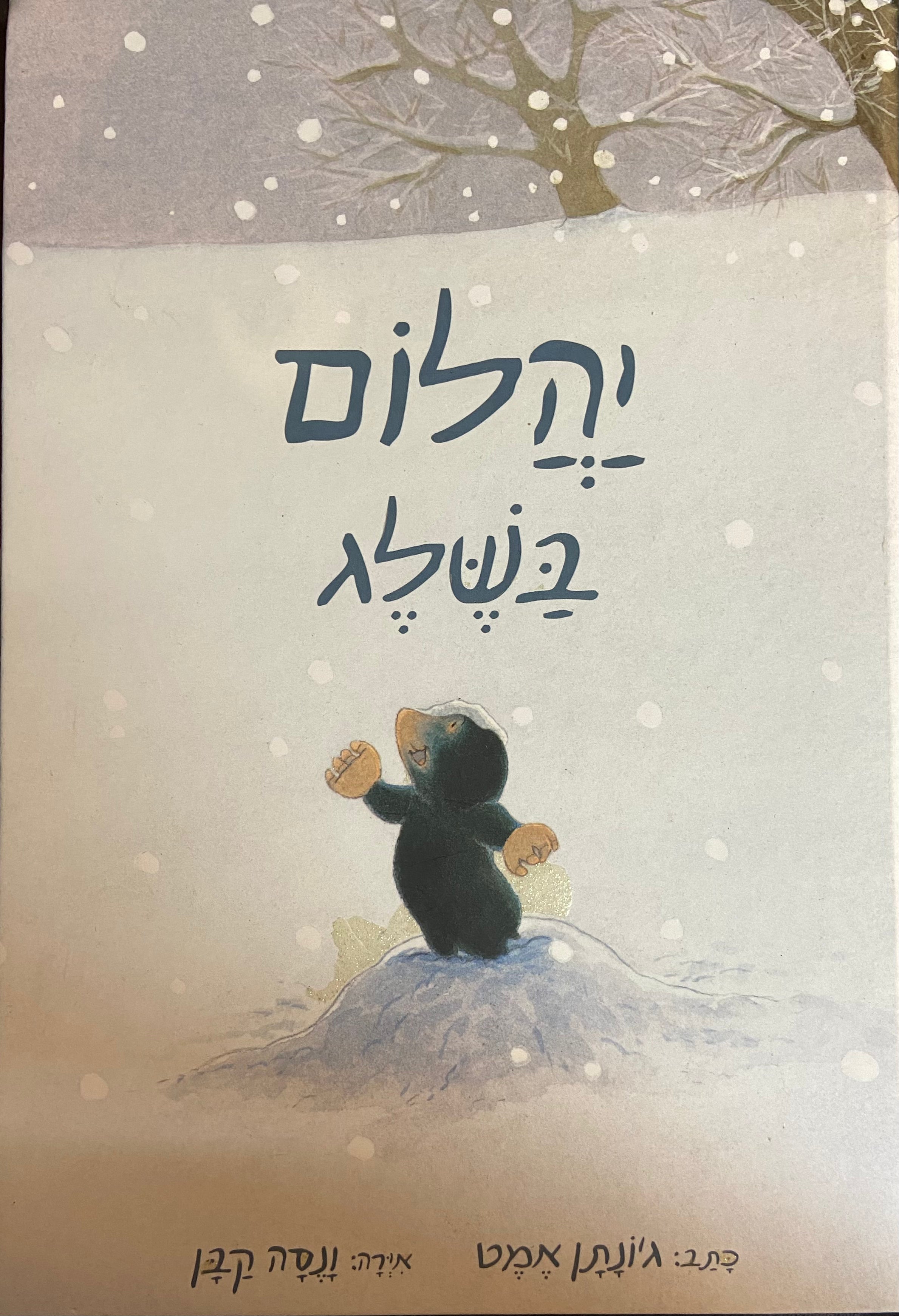 יהלום בשלג
