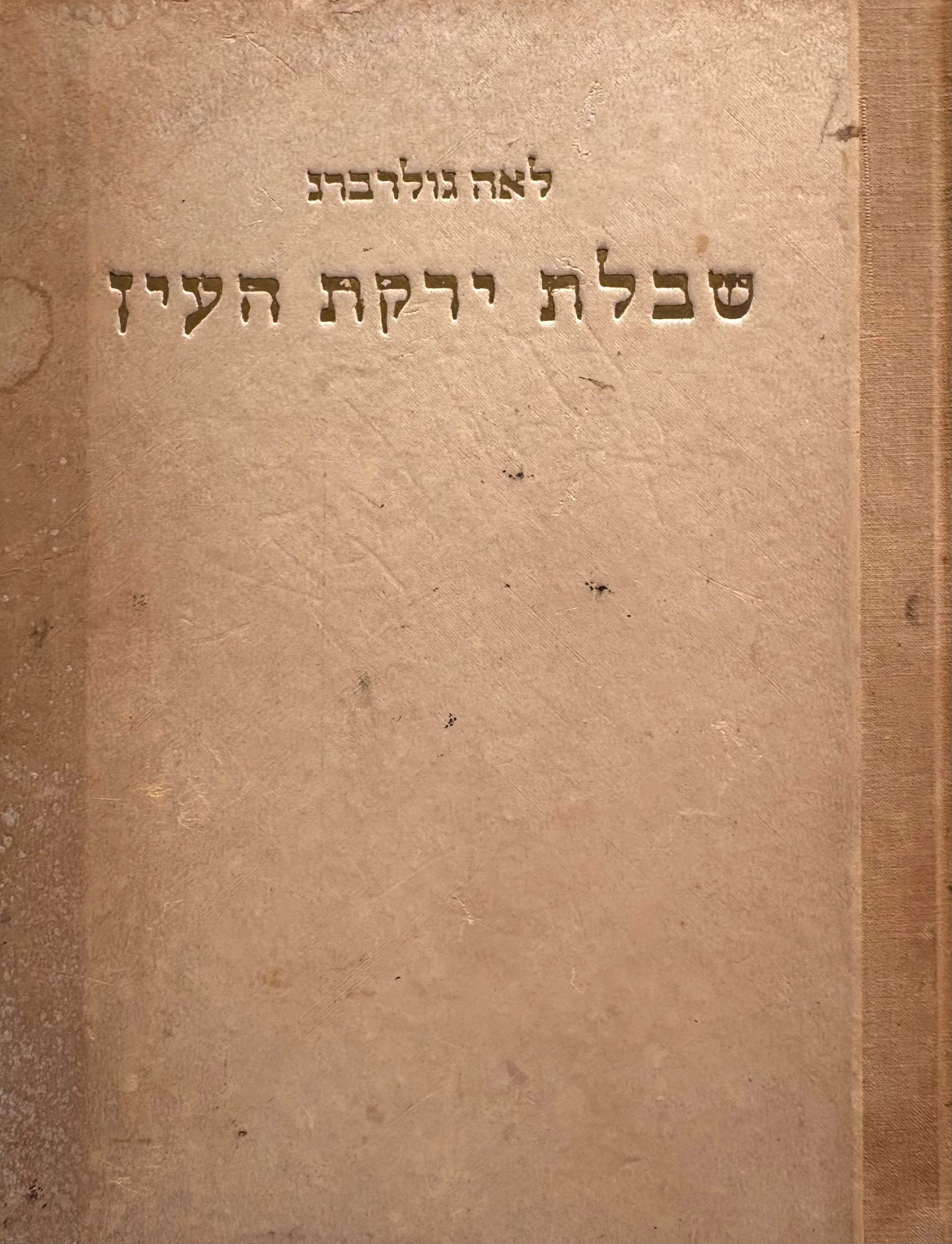 שבולת ירקת העין