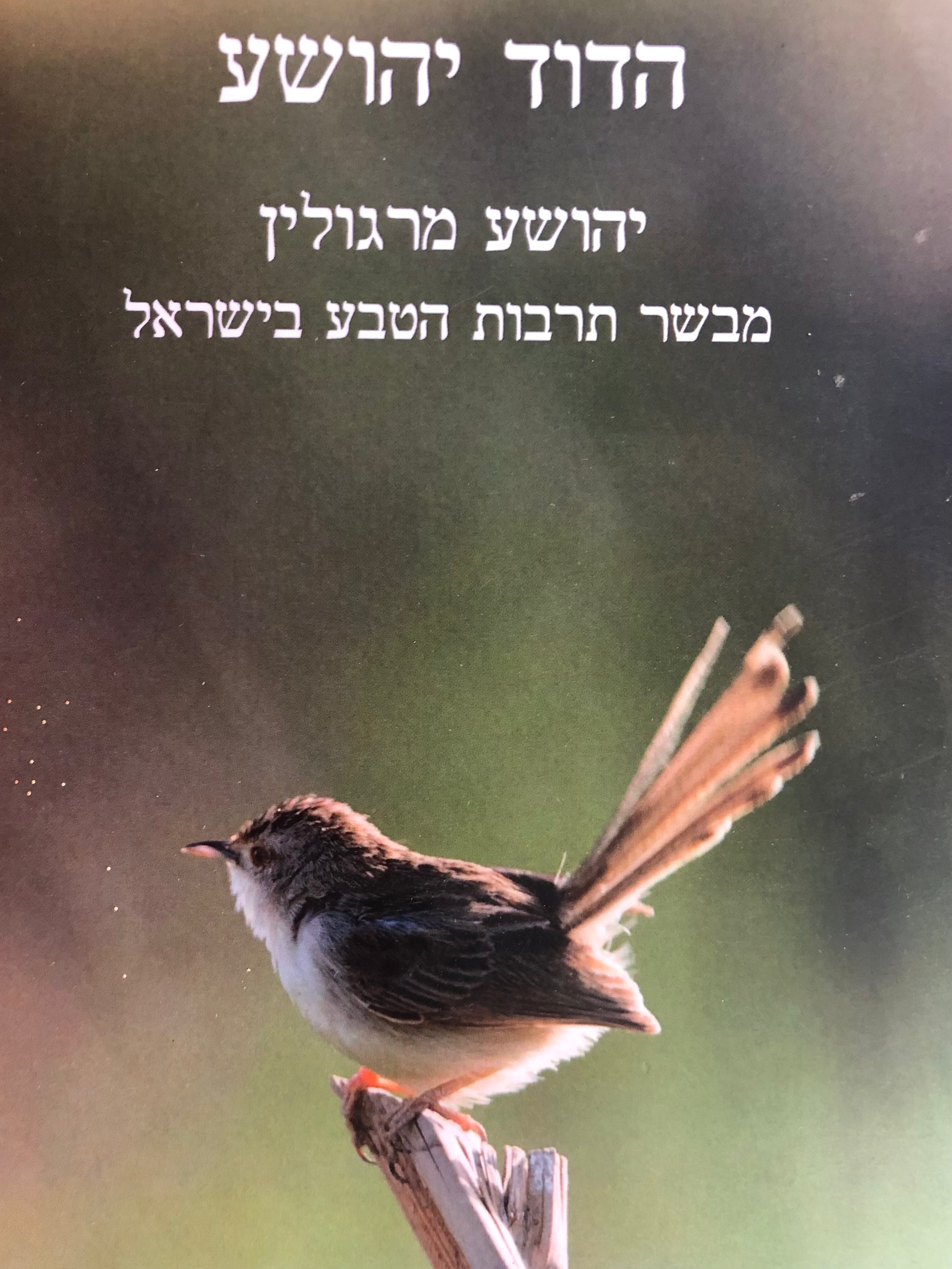 הדוד יהושע/ יהושע מרגולין/ מבשר תרבות הטבע של ישראל