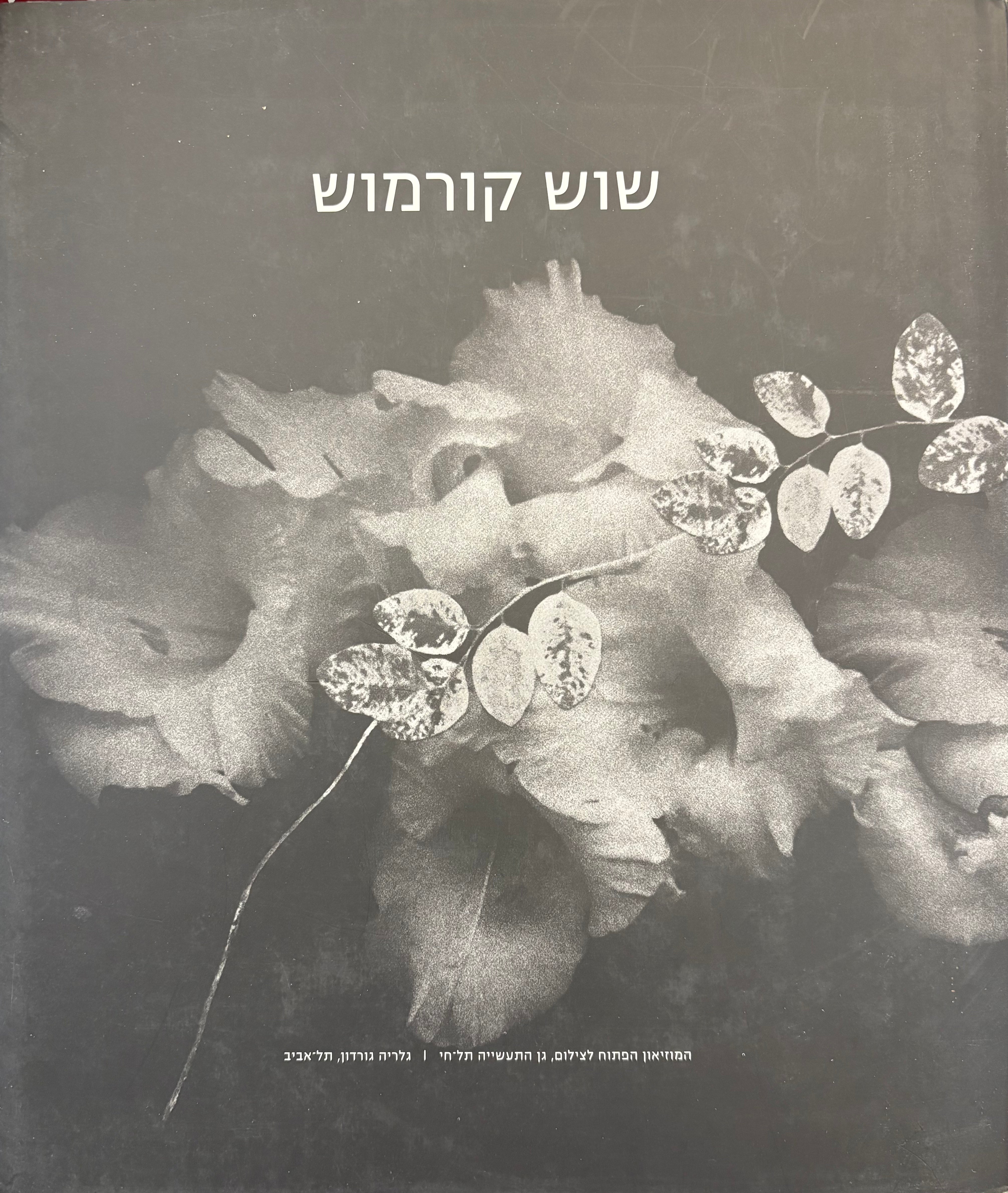 מונח דומם / עבודות 1987-2001