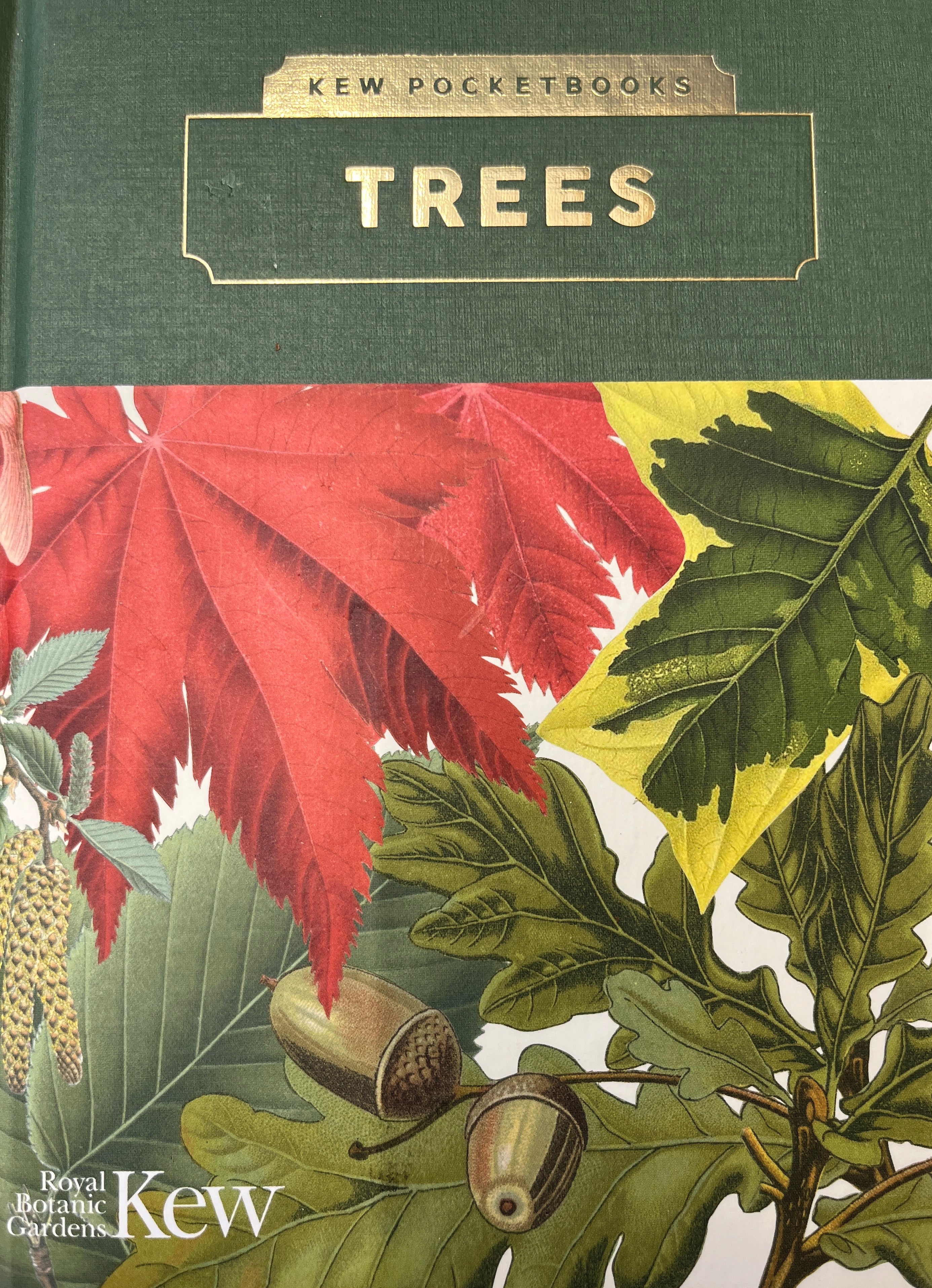 KEW POCKETBOOKS / TREES