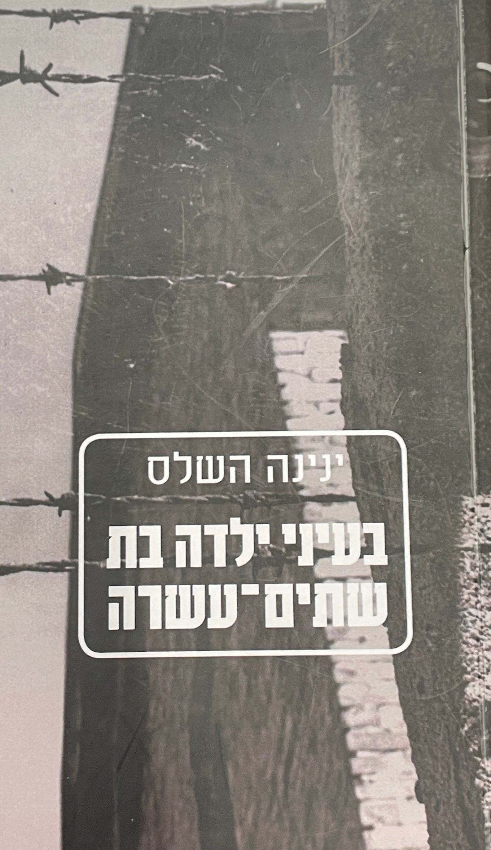 בעיני ילדה בת שתים עשרה