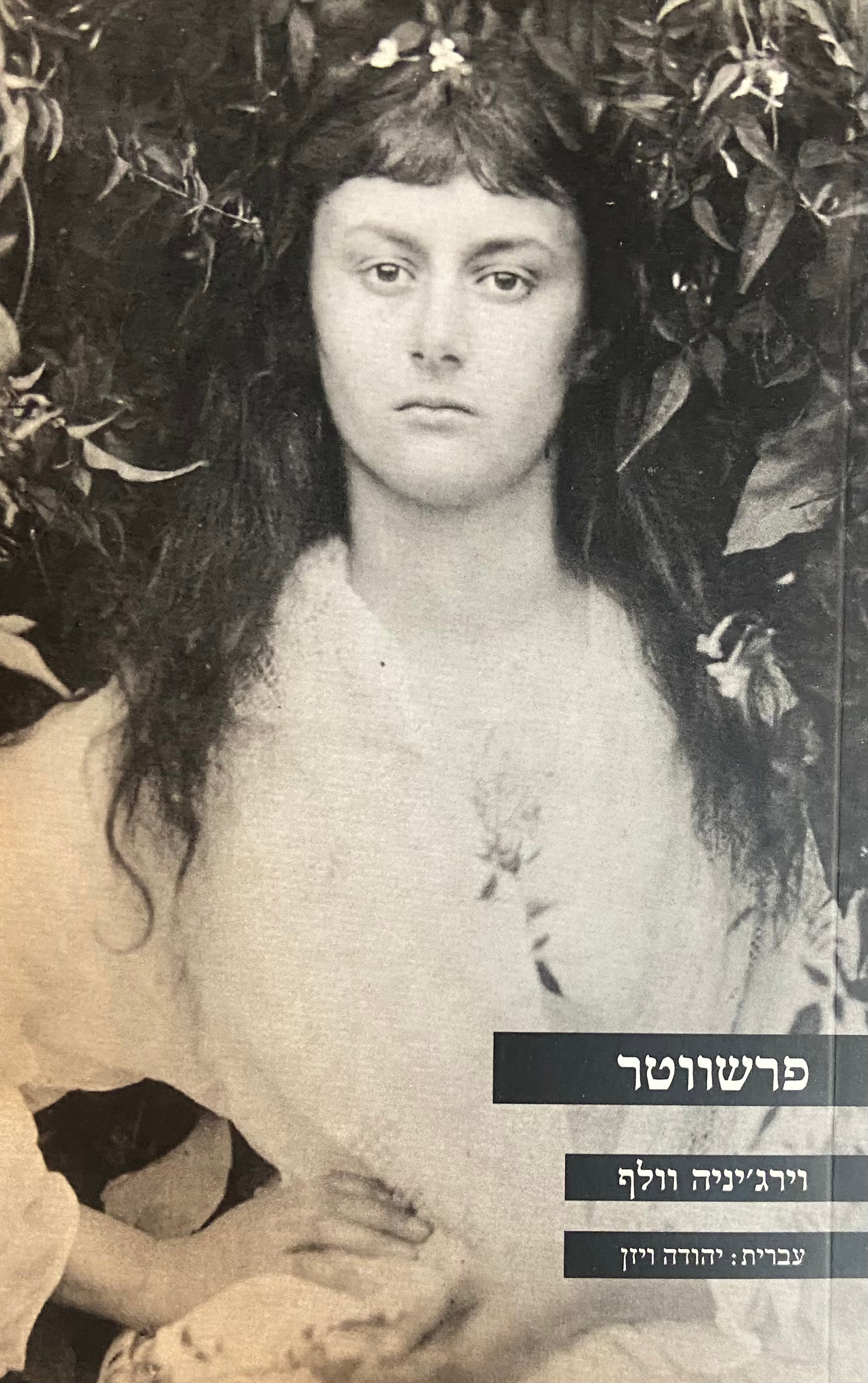 פרשווטר