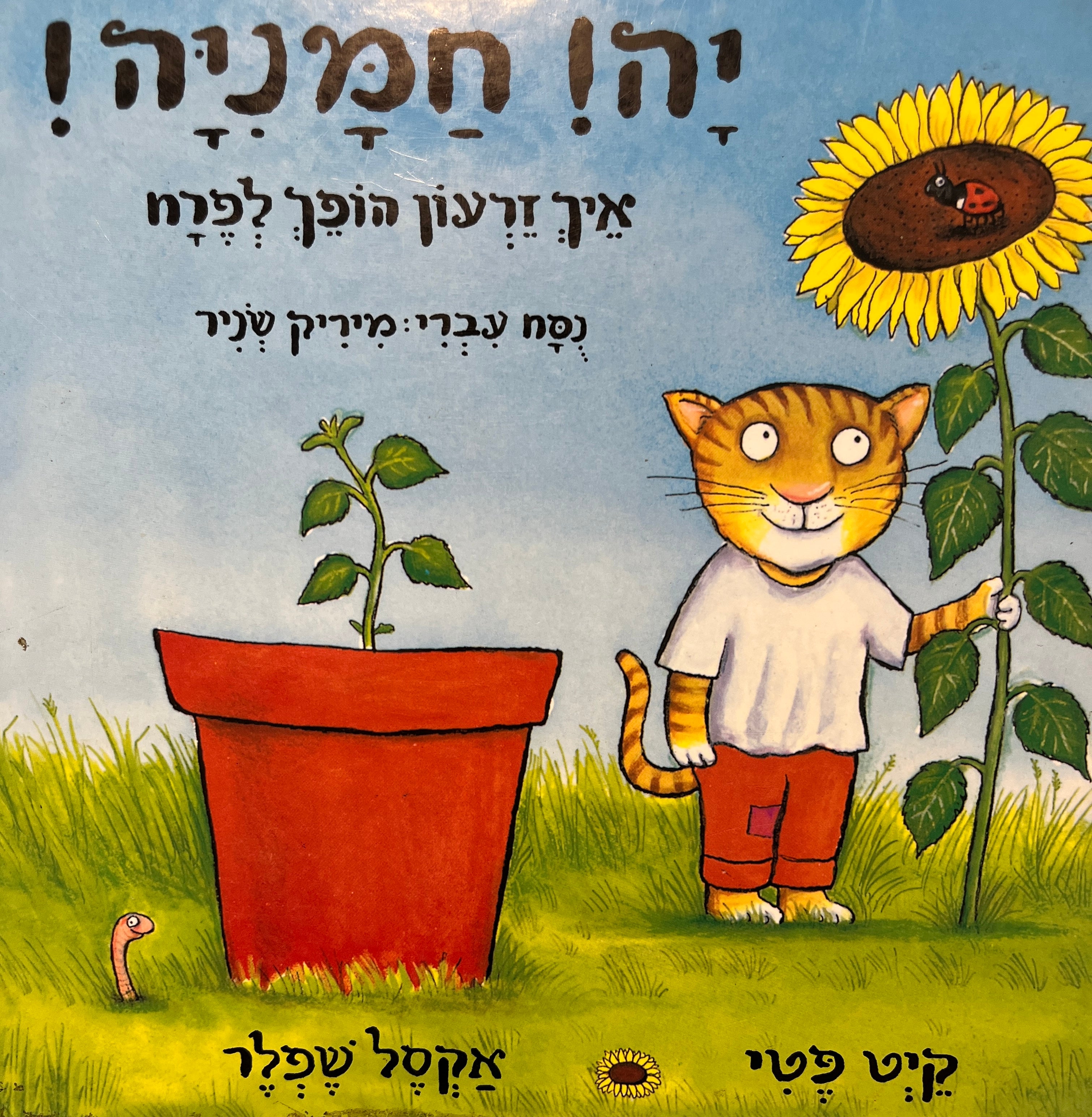 יה! חמניה! / איך זרעון הופך לפרח
