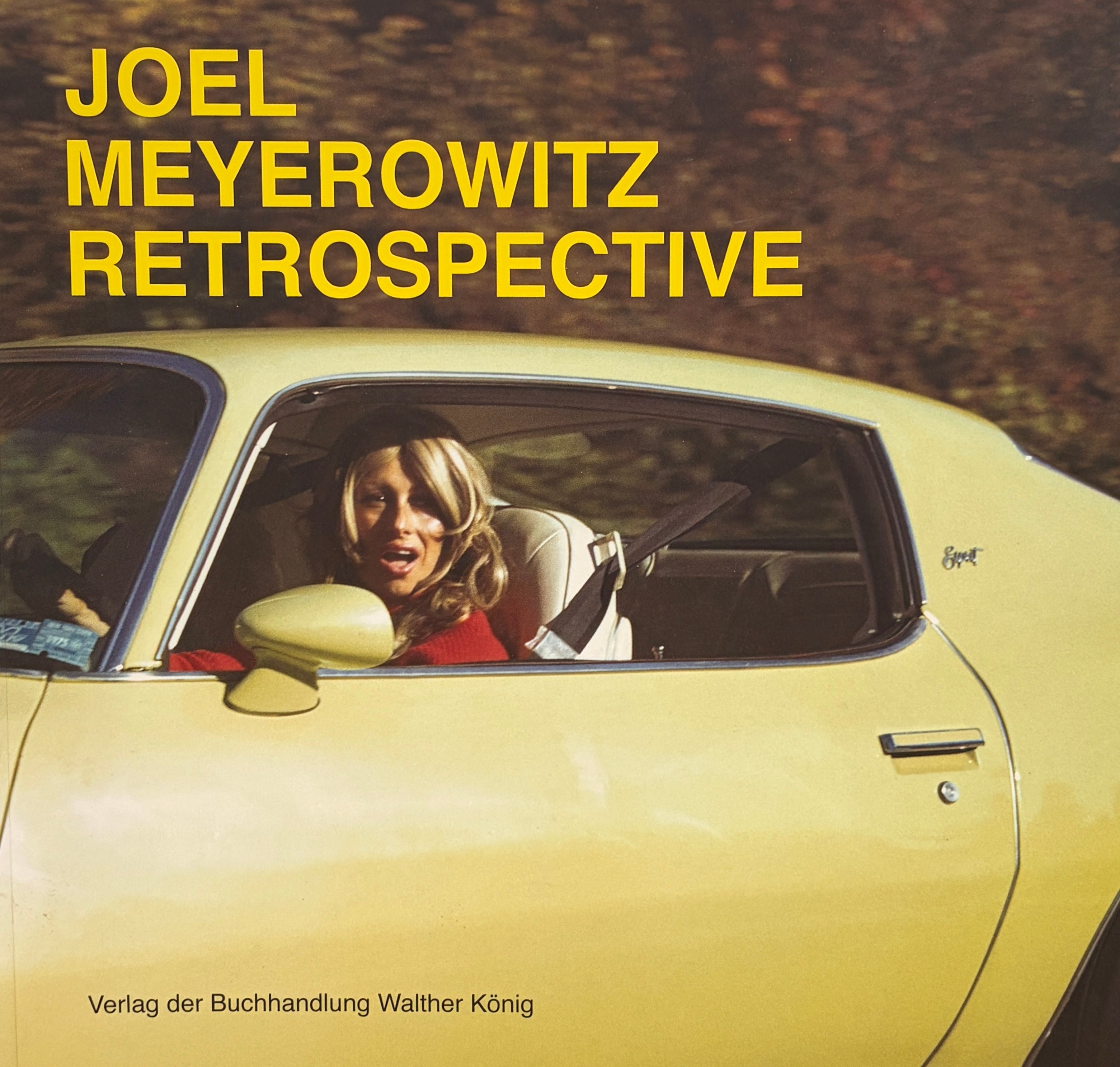 Joel Meyerowitz / Retrospective