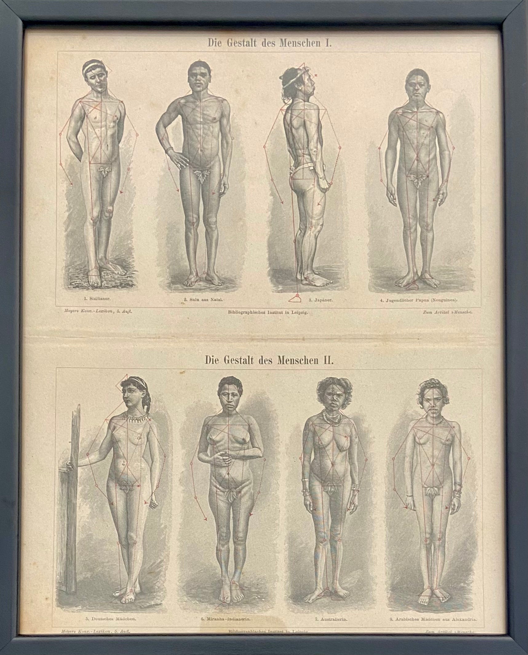 גוף האדם לפי גזעים שונים: מתוך אנציקלופדיית מאייר / 1907