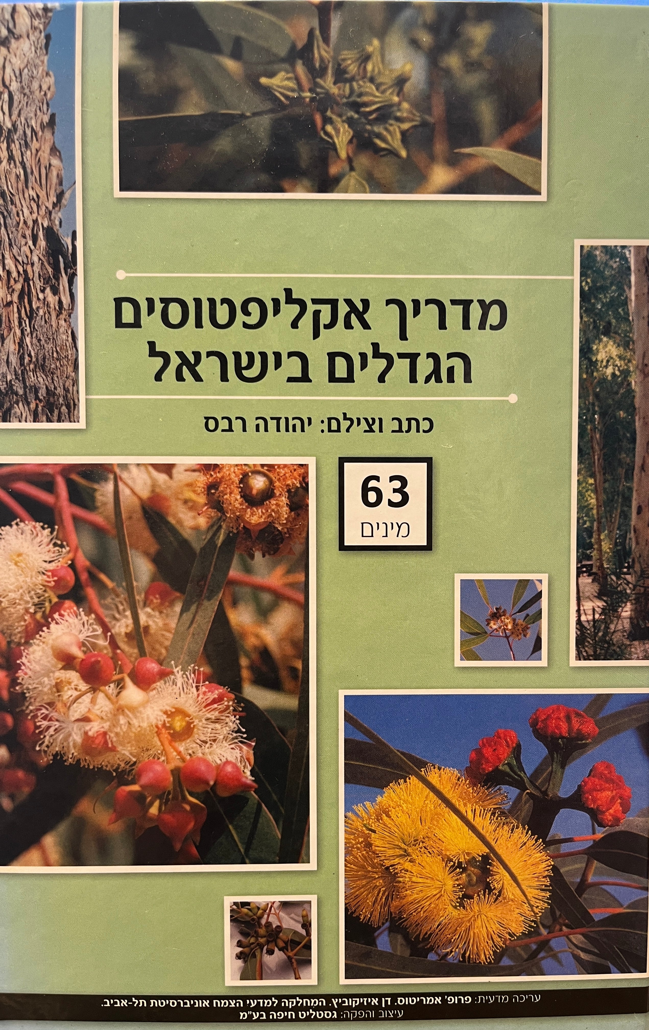 מדריך אקליפטוסים הגדלים בישראל