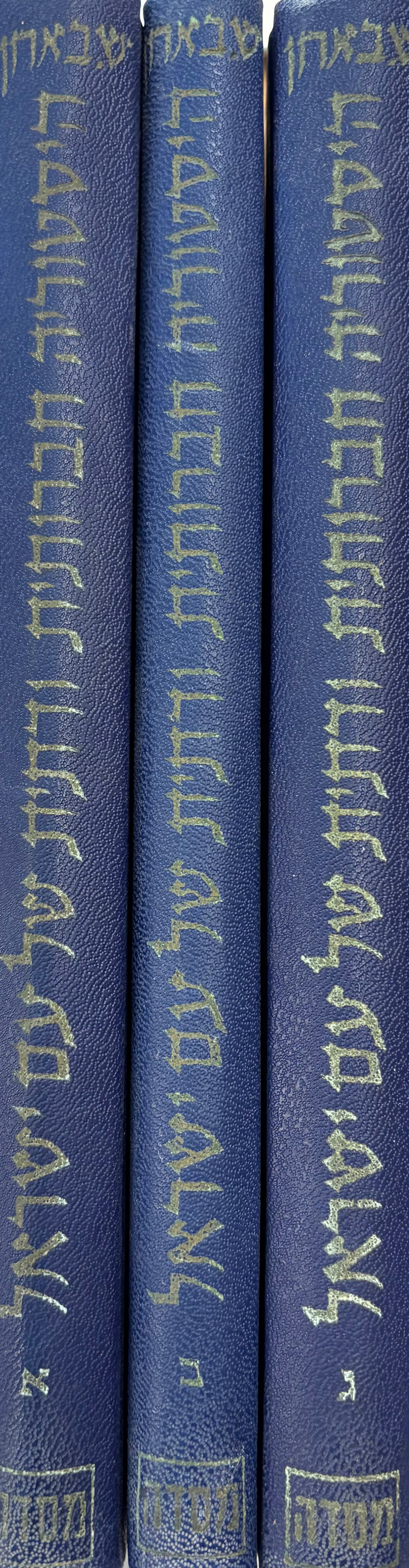 היסטוריה חברותית ודתית של עם ישראל / שלושה כרכים