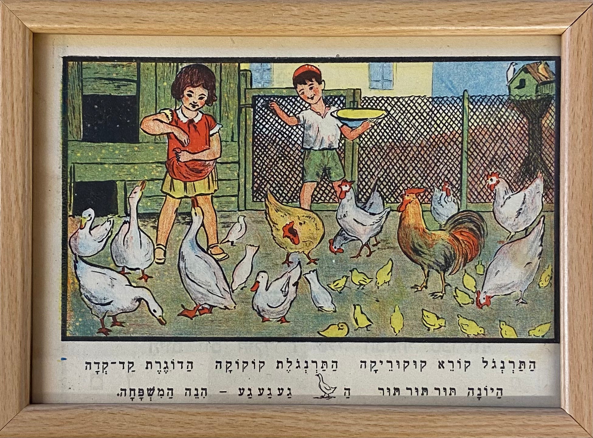 מאכילים תרנגולים  / מתוך הספר אלף מאת זאב רבן ומאיר גור אריה