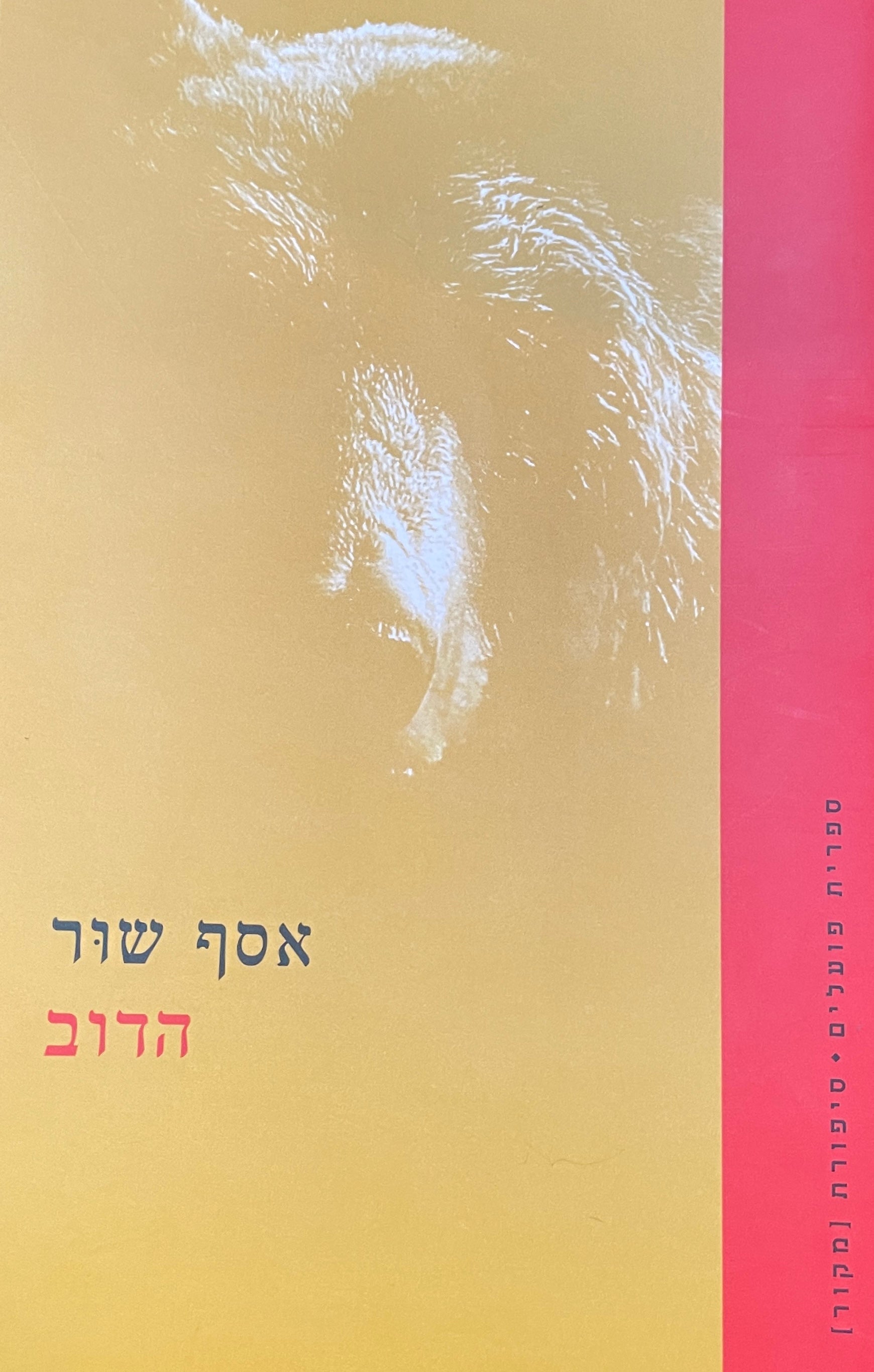 הדוב