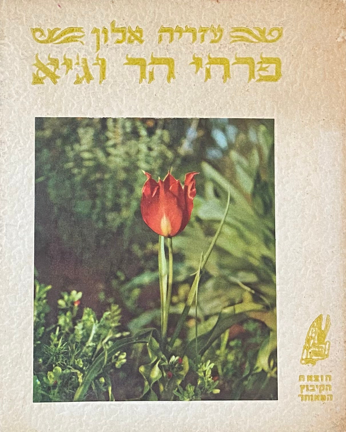 פרחי הר וגיא: שלושים ושנים פרחי-בר של ארץ-ישראל בצילומי-צבע / מארז עם חוברת עברית, חוברת אנגלית ו-32 לוחות צילומים
