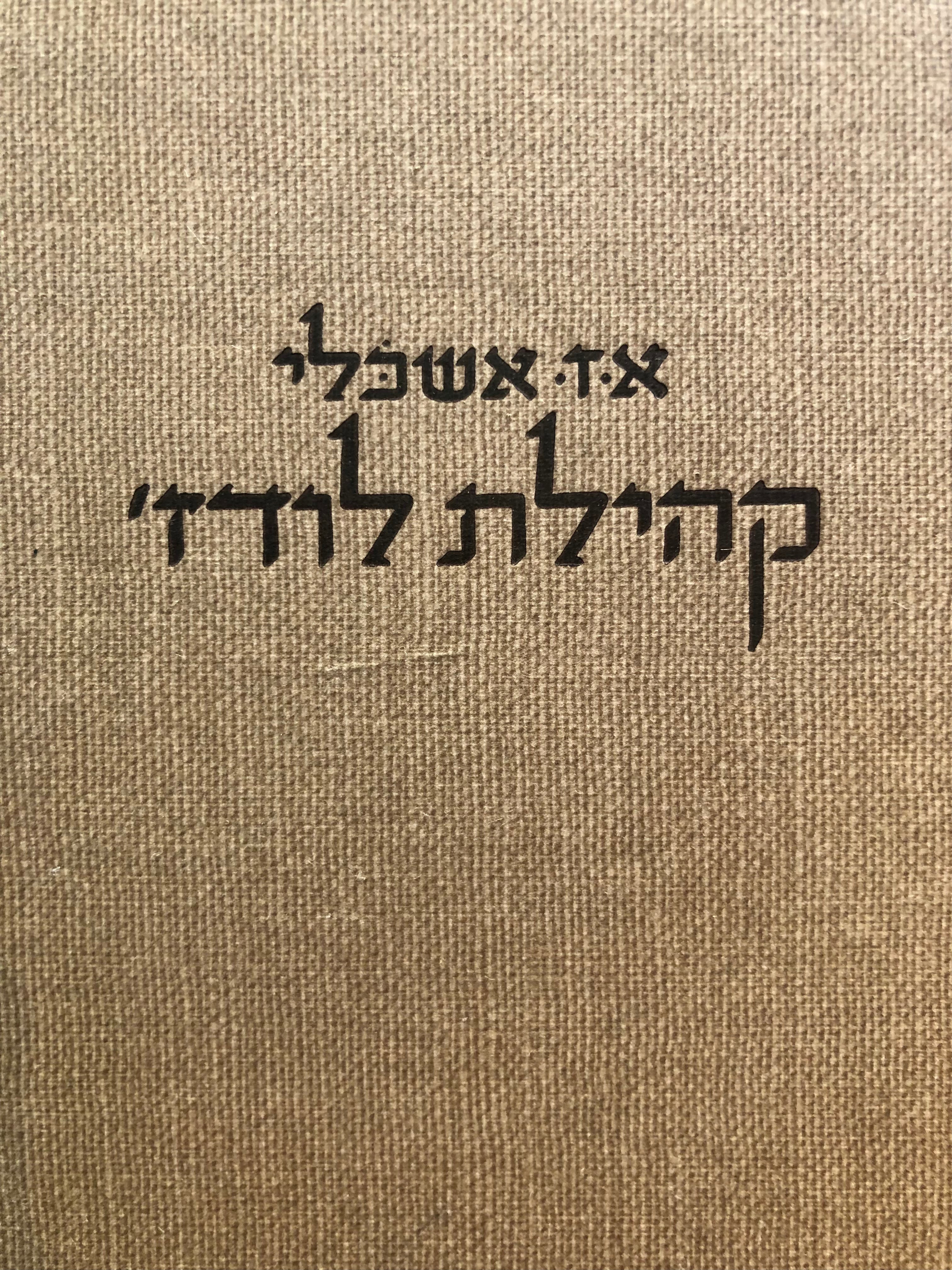 קהילת לודז' / תולדות עיר ואם בישראל