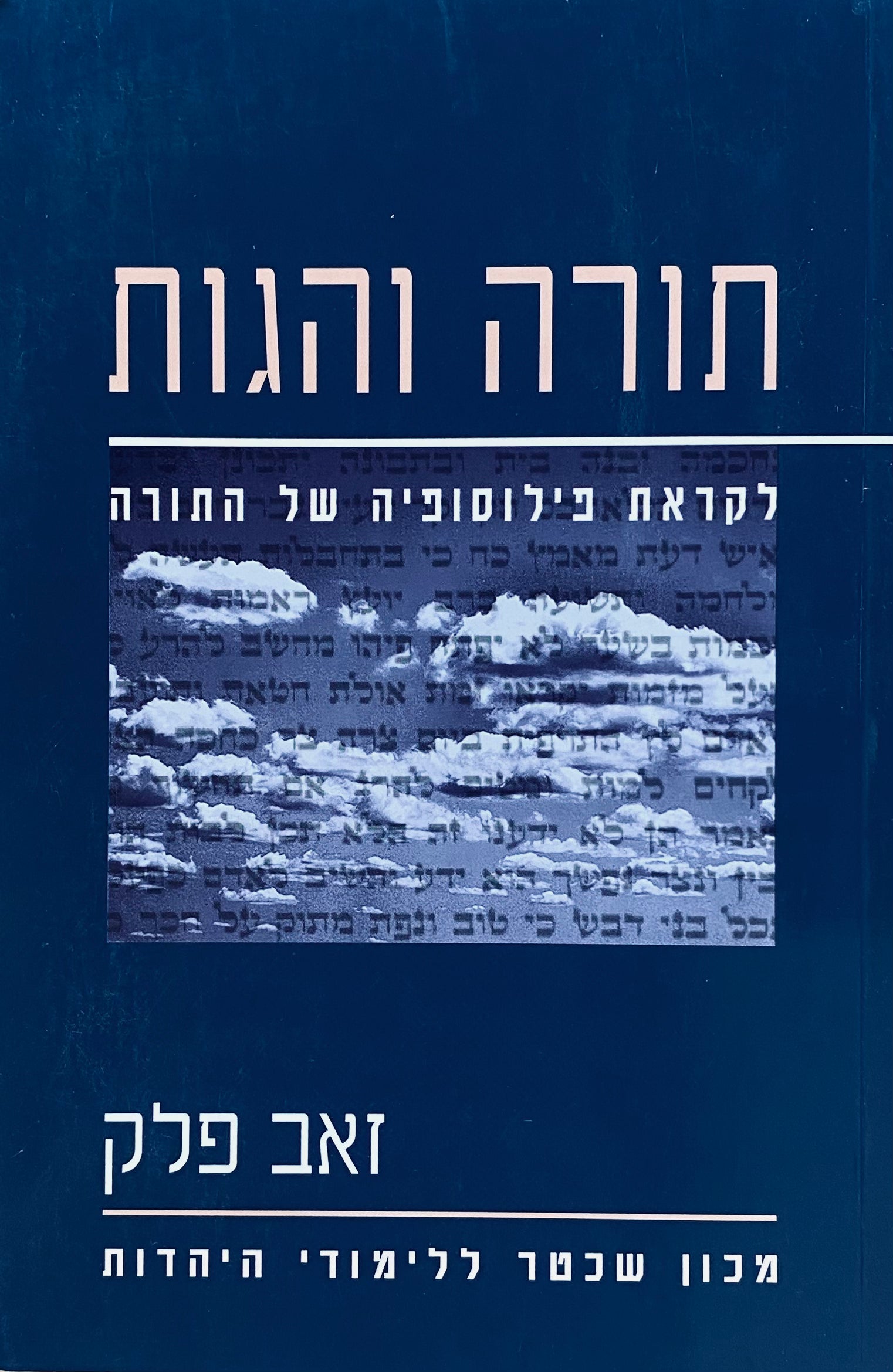 תורה והגות: לקראת פילוסופיה של התורה
