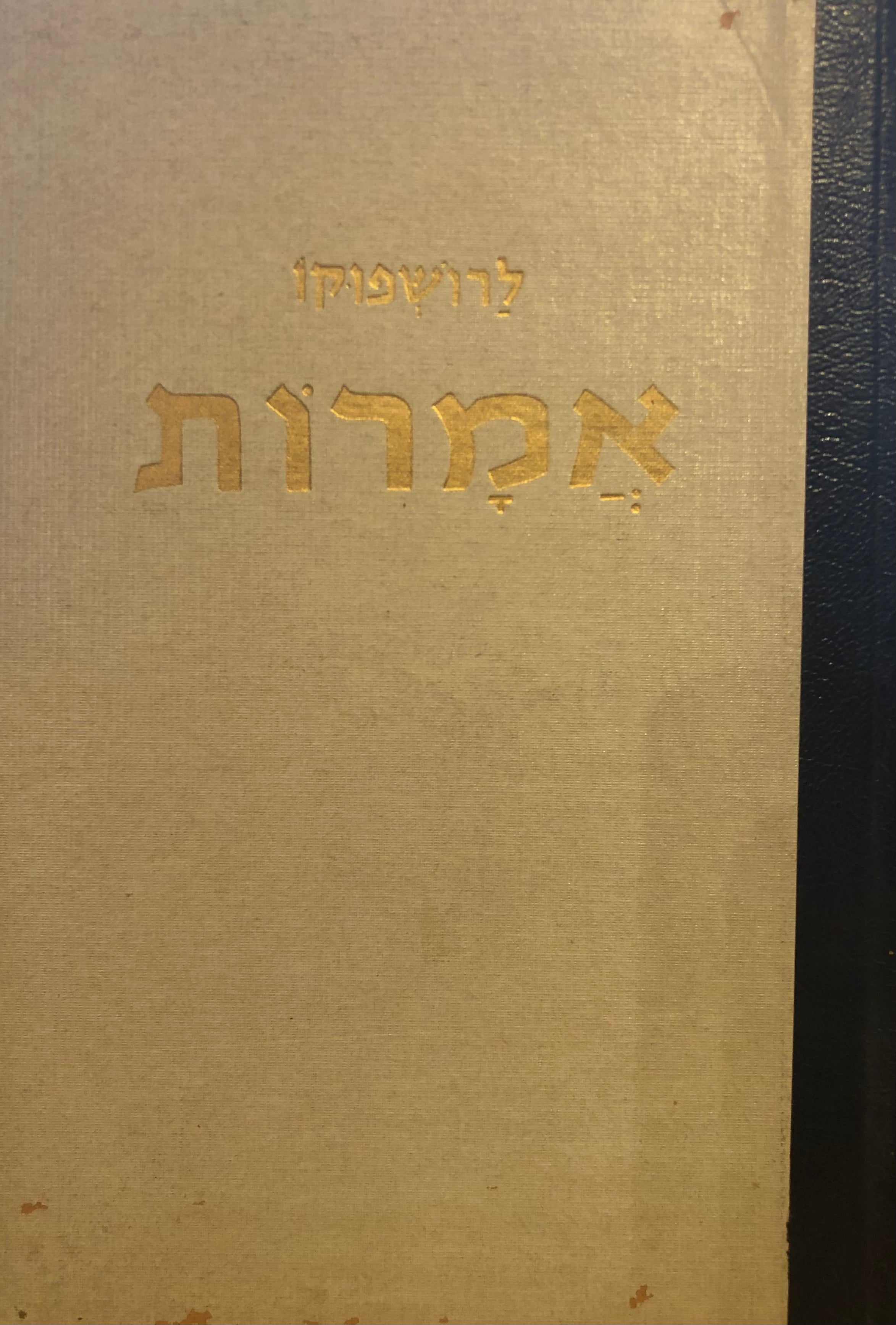 אמרות או הרהורים וכללי מוסר
