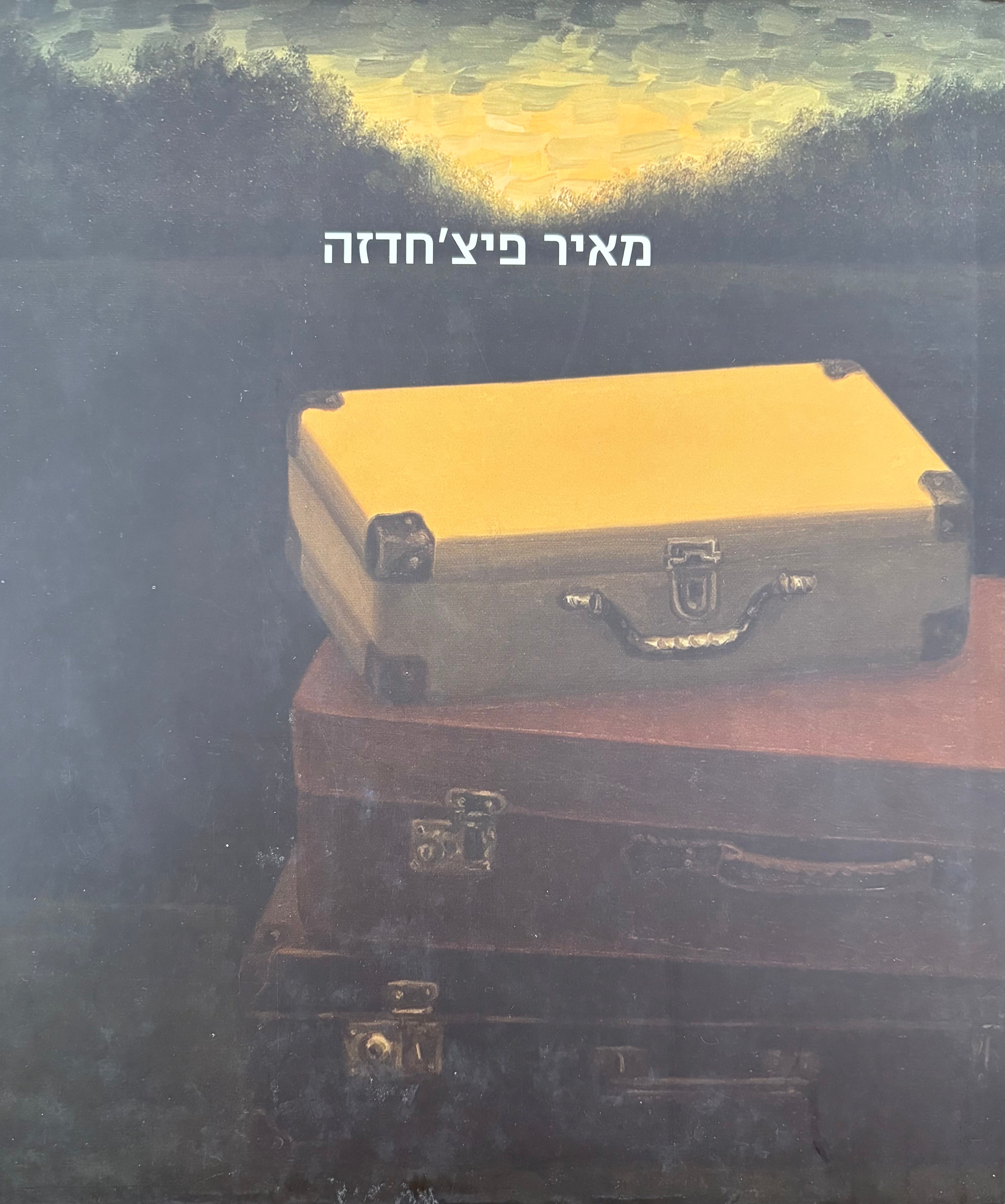 מאיר פיצ'חדזה