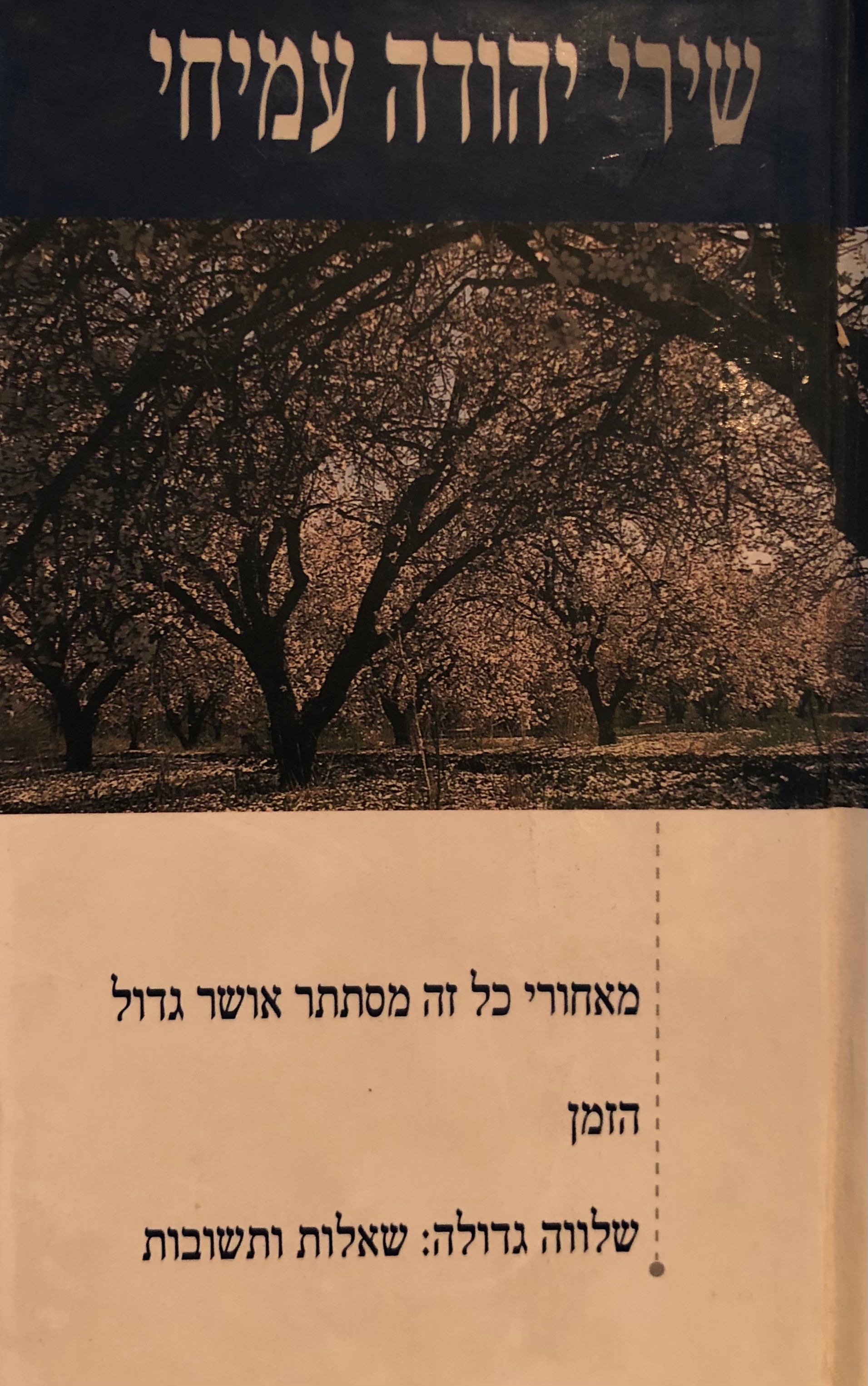 מאחורי כל זה מסתתר אושר גדול/ הזמן/ שלווה גדולה: שאלות ותשובות