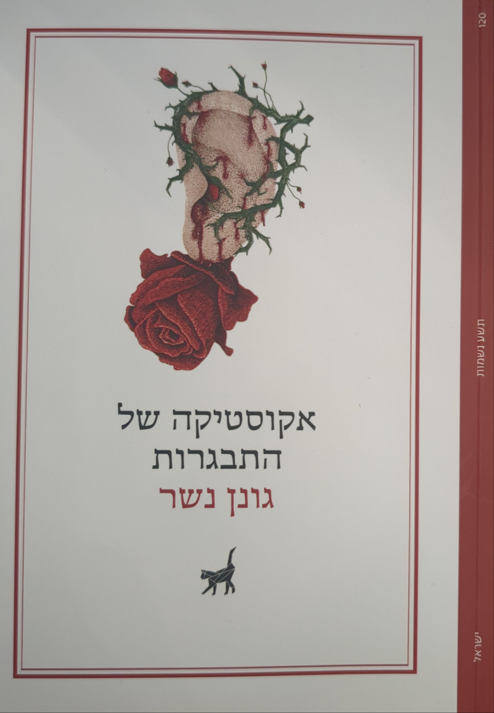אקוסטיקה של התבגרות
