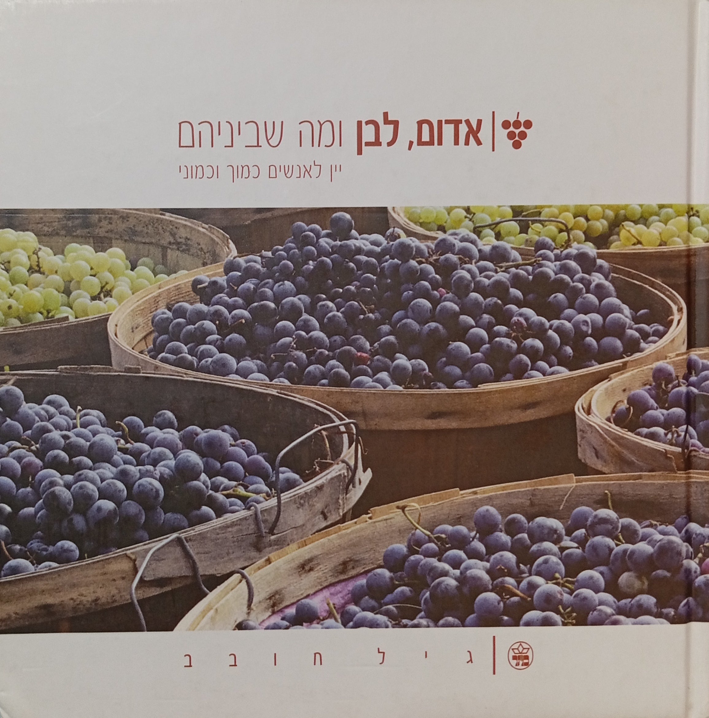 אדום, לבן ומה שביניהם / יין לאנשים כמוך וכמוני